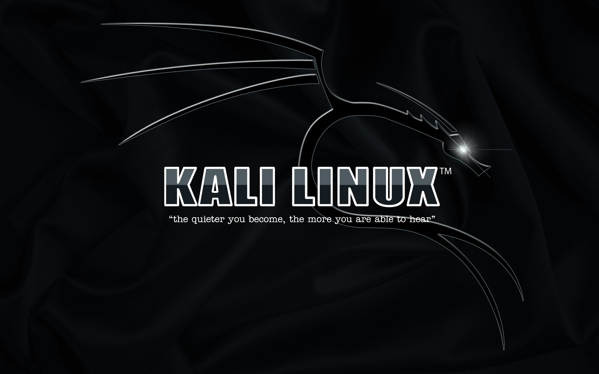 Kali Linux Simple Background Typography 1920x1200