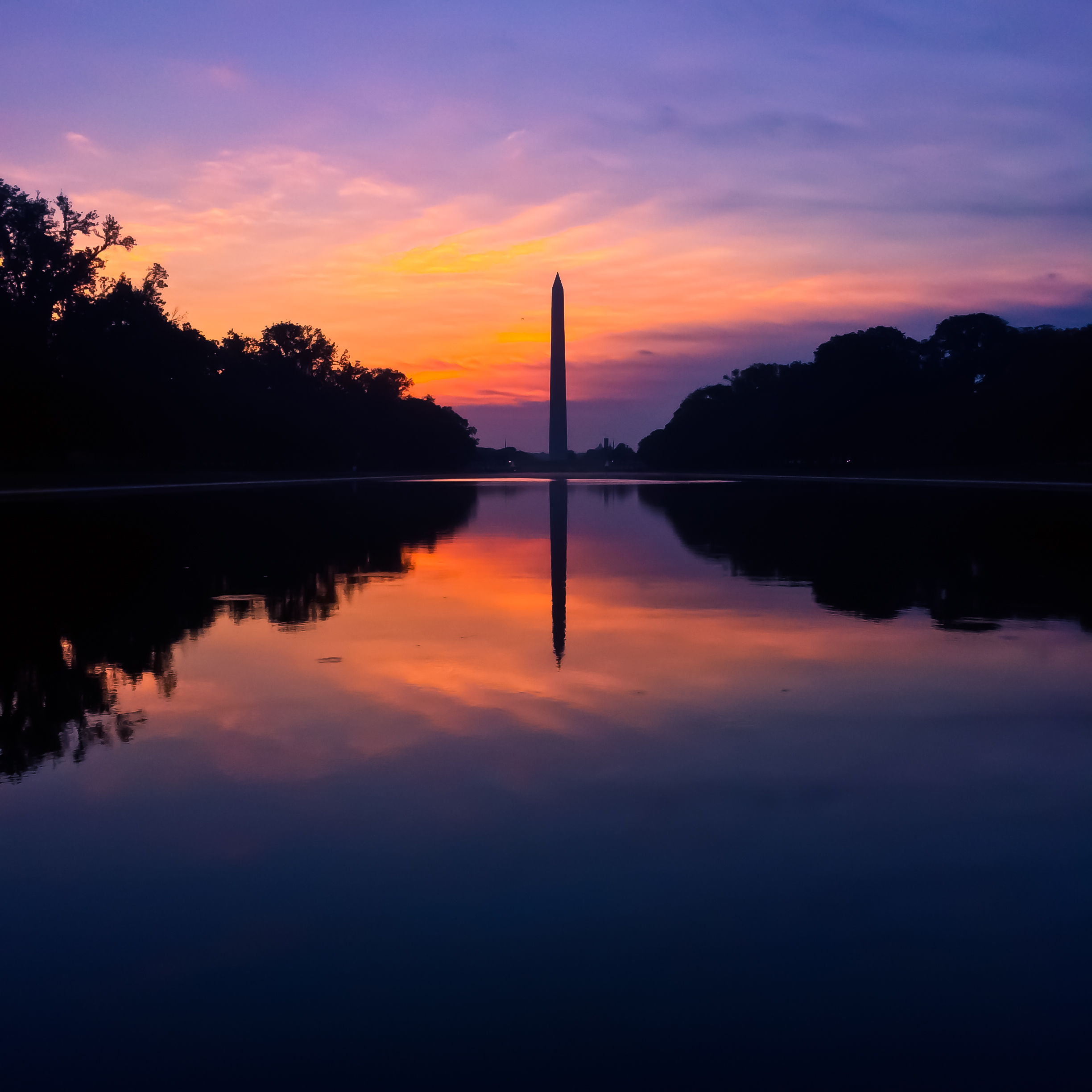 Washington D C Washington Monument Reflection USA Sunrise 2448x2448