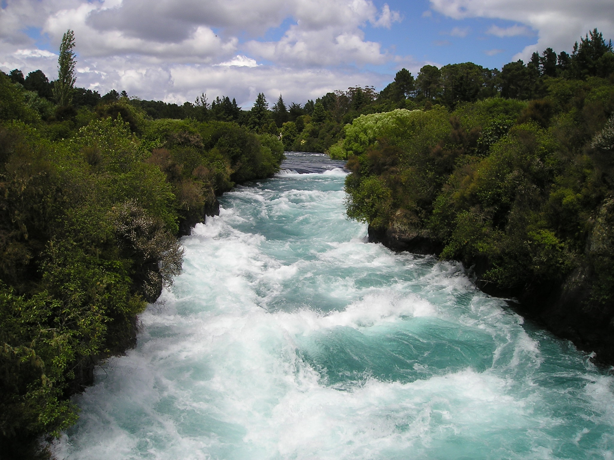 New Zealand River Shrub Nature 2048x1536