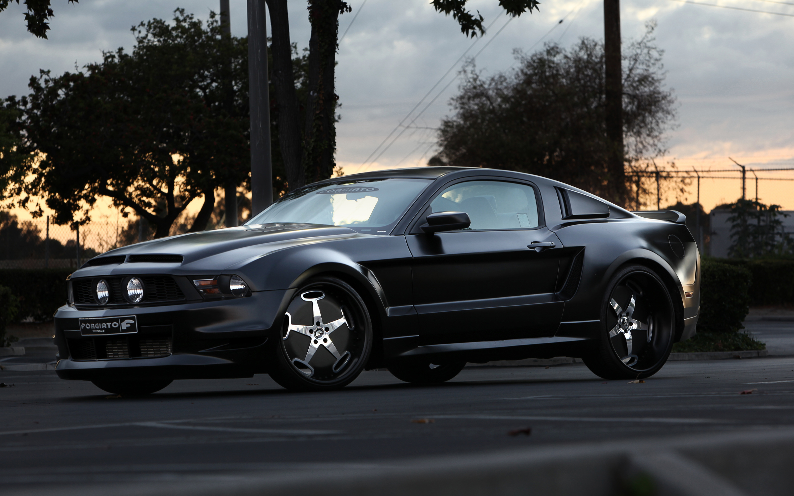 Vehicles Ford Mustang Shelby 2560x1600