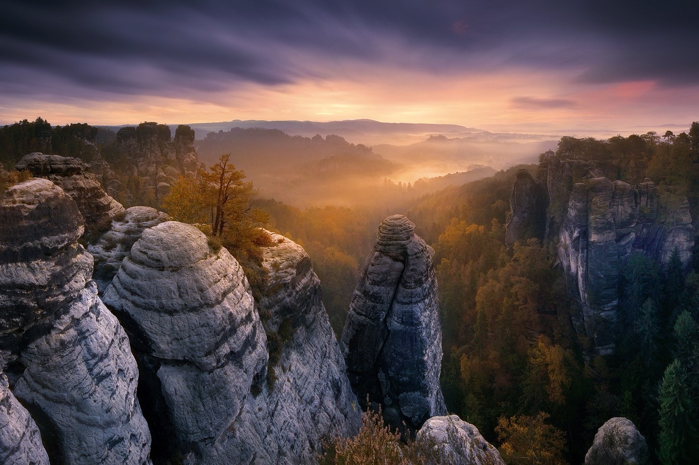 Photography Rocks Trees Landscape Forest National Park Sky Mountains Saxon Switzerland 1427x950