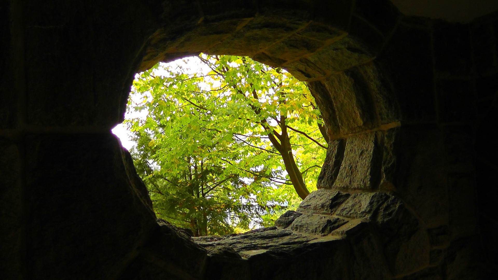 Wall Hole Trees Leaves Daylight Bricks 1920x1080