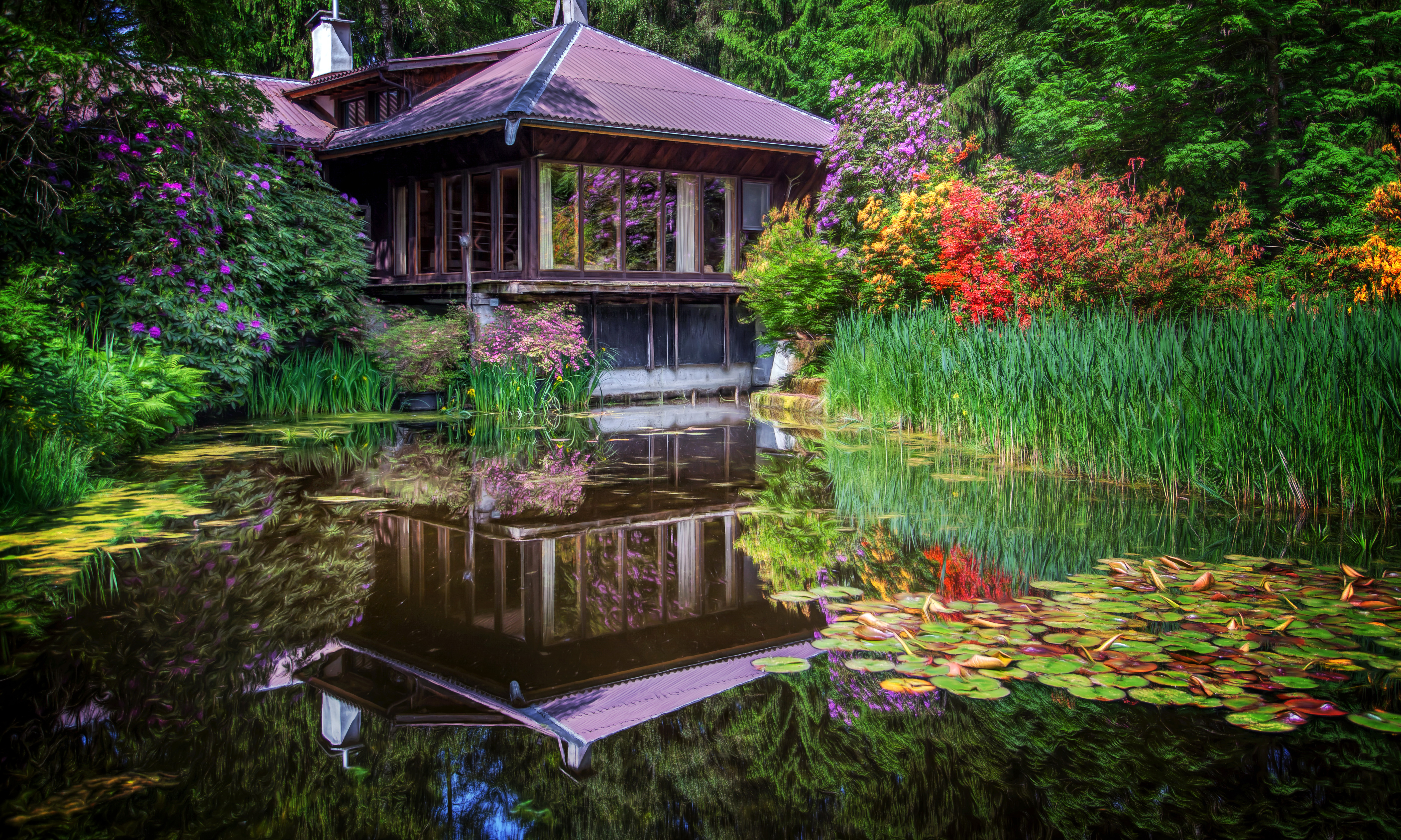 Japanese Garden Garden Reflection Pond Water Flower 5616x3370