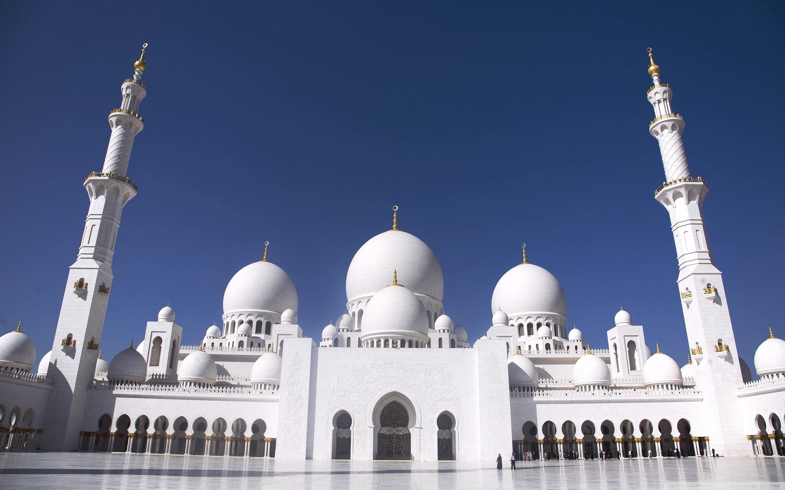 Mosque Architecture Abu Dhabi Building 2560x1600