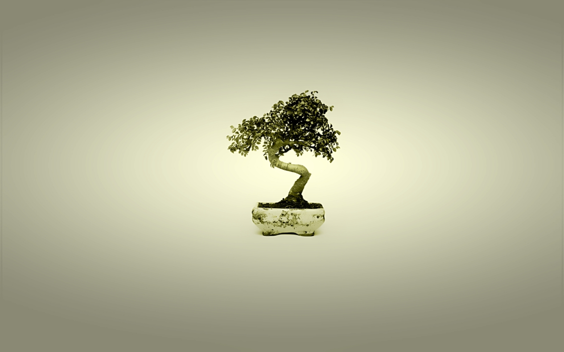 Earth Bonsai 1920x1200