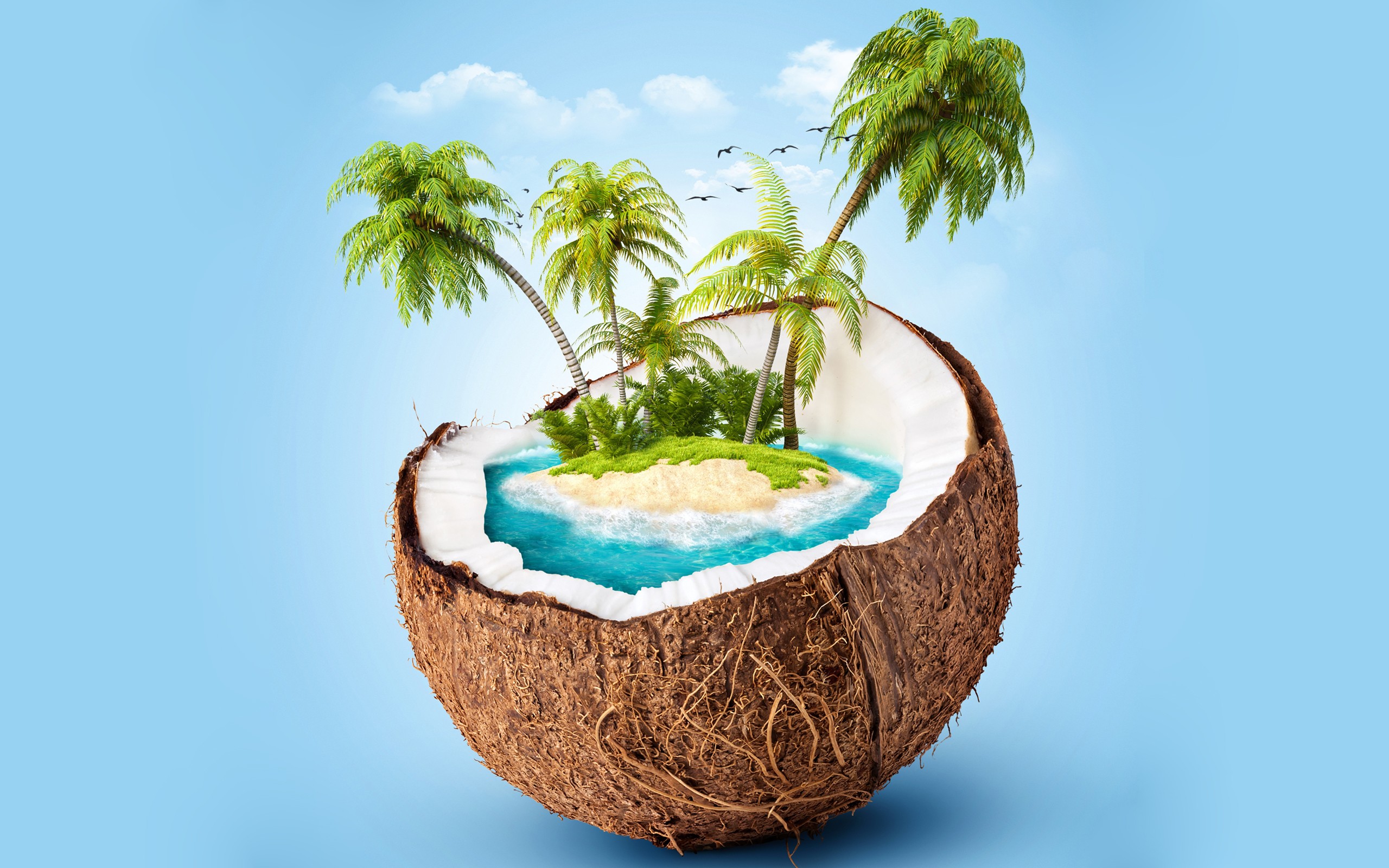 Coconuts Island Render Blue Background Palm Trees 2560x1600