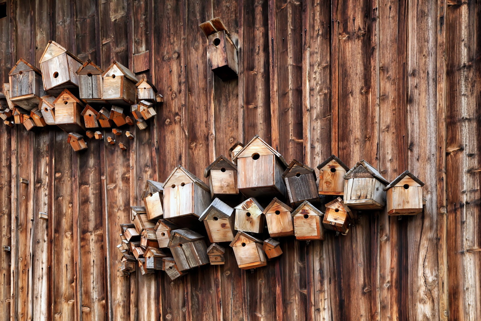 Wood Wooden Surface Planks Texture Birdhouses 1920x1280