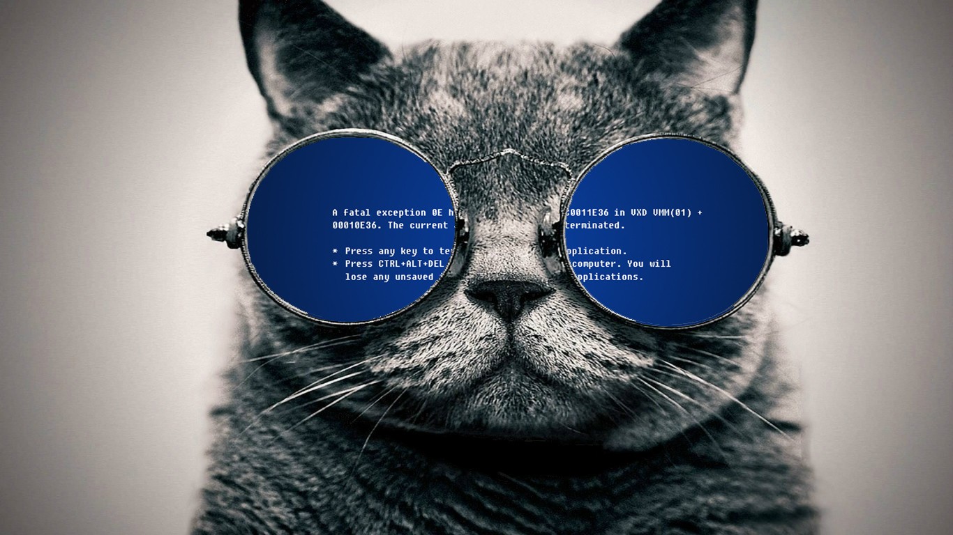 Cats Glasses Blue Screen Of Death Humor Blue Shades Frontal View 1366x768