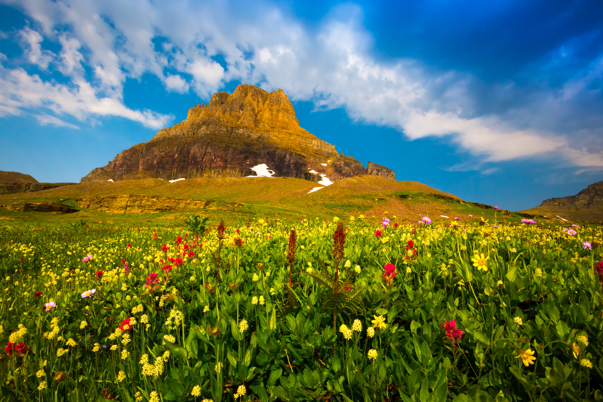 Earth Flower Wildflower Mountain Spring Landscape 2048x1365