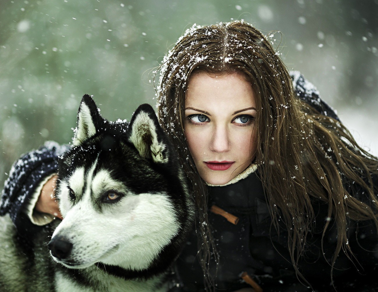Women Brunette Blue Eyes Red Lipstick Animals Wolf Snow Winter Siberian Husky Black Coat Women With  1300x1004