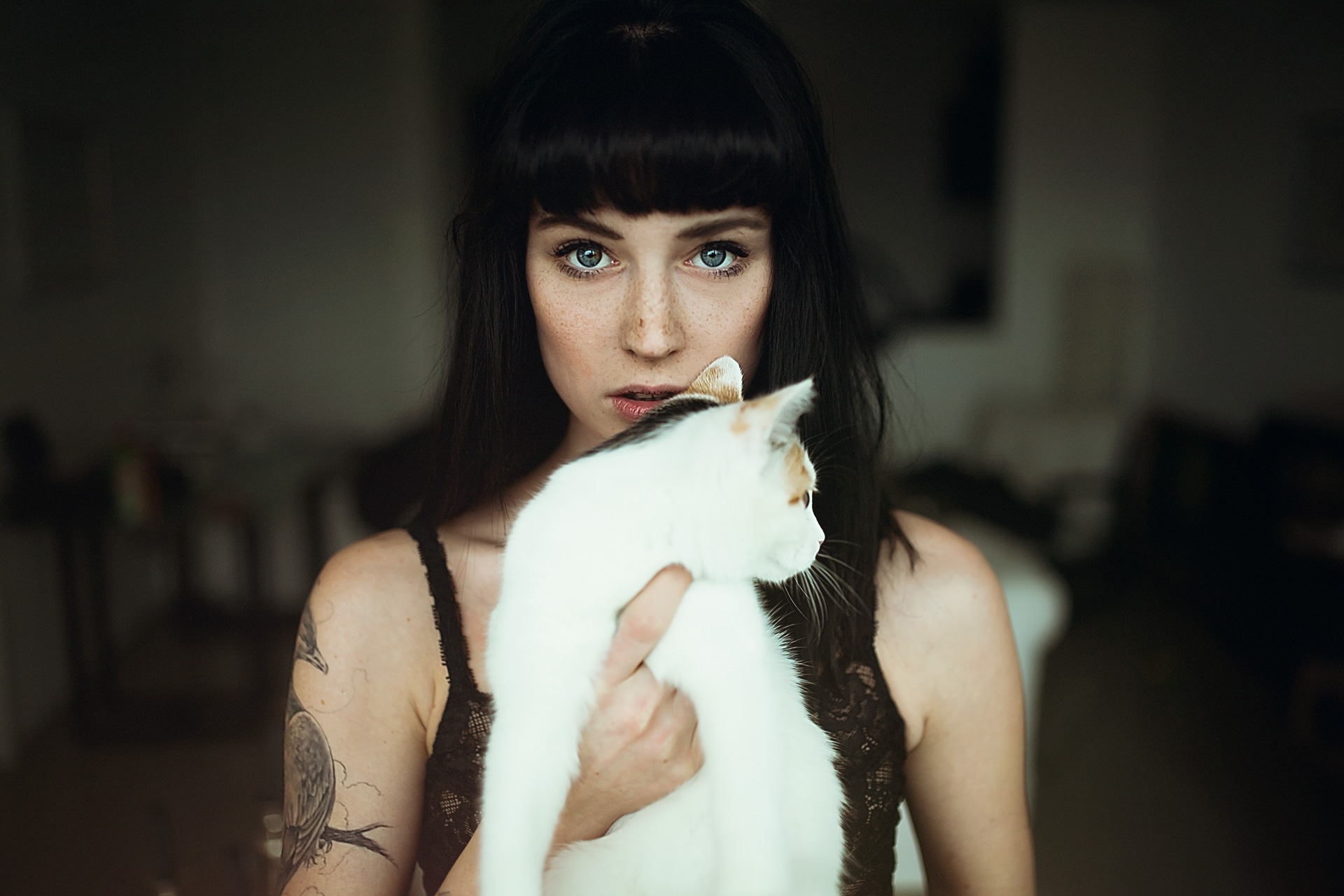 Women Model Andre Josselin Scarlett Simoneit Black Hair Blue Eyes Tattoo Looking At Viewer Cats 