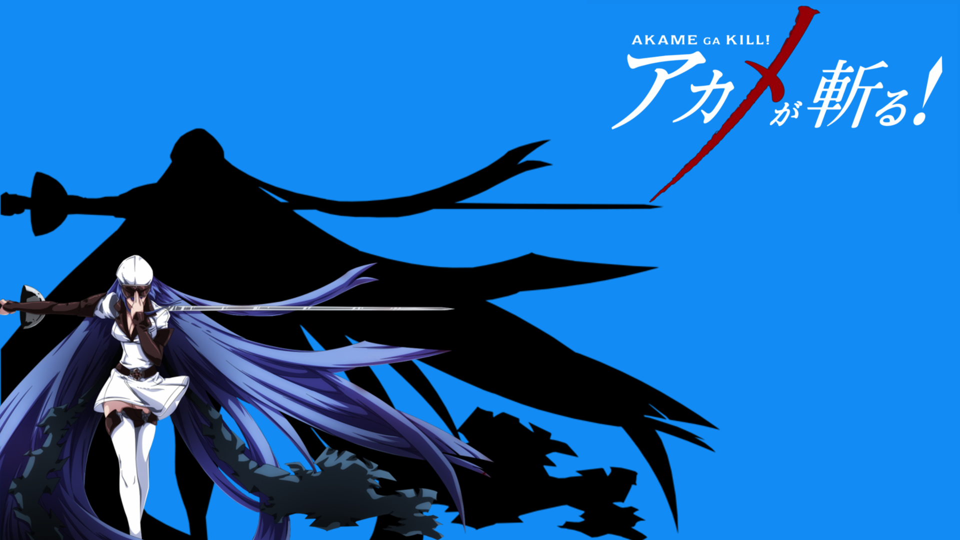 Esdeath Akame Ga Kill Anime Anime Girls Blue Background 1920x1080