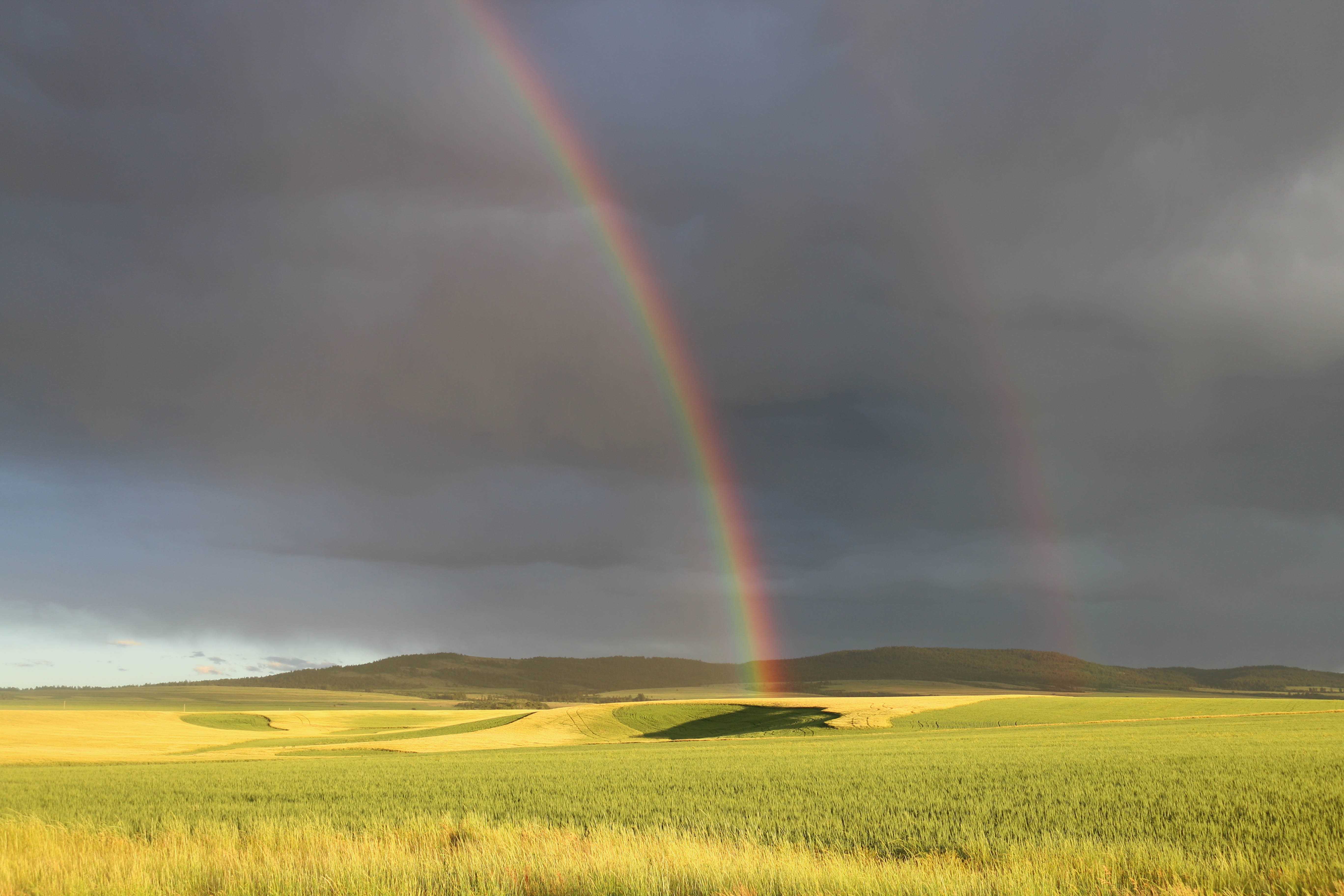 Rainbow Field Landscape Nature Idaho 5472x3648