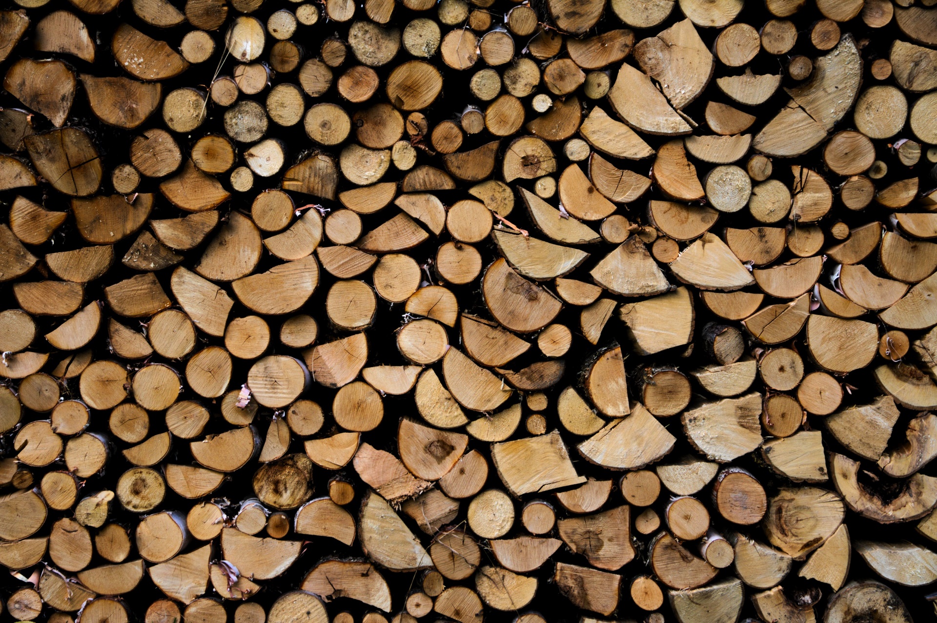 Wood Texture Firewood 1920x1278
