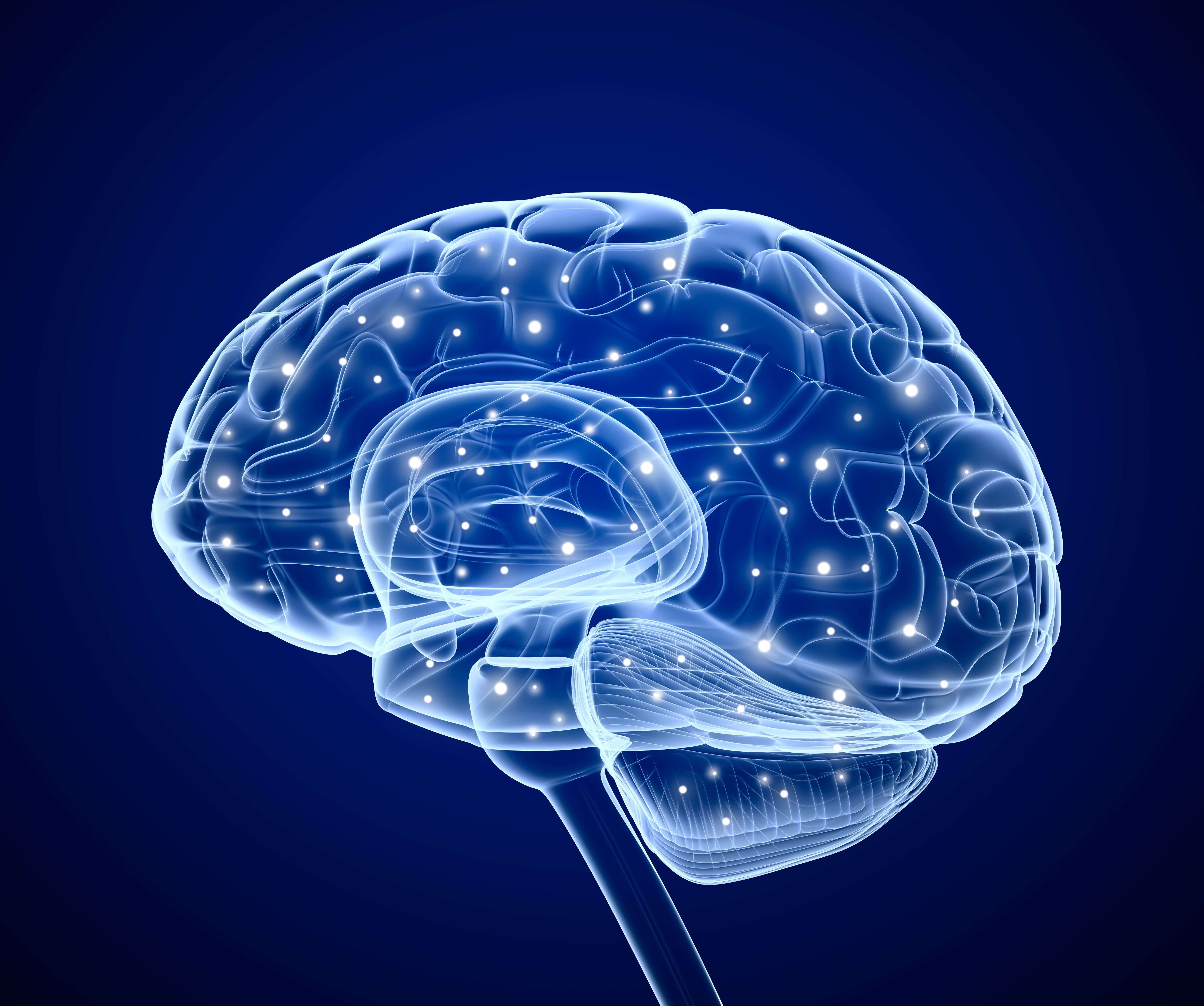 Minimalism People Brain X Rays Digital Art Blue Background 5100x4264