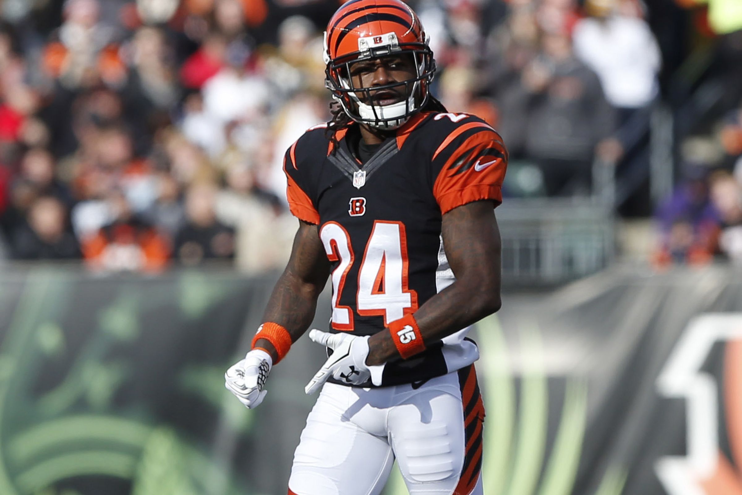 Sports Cincinnati Bengals 2400x1600