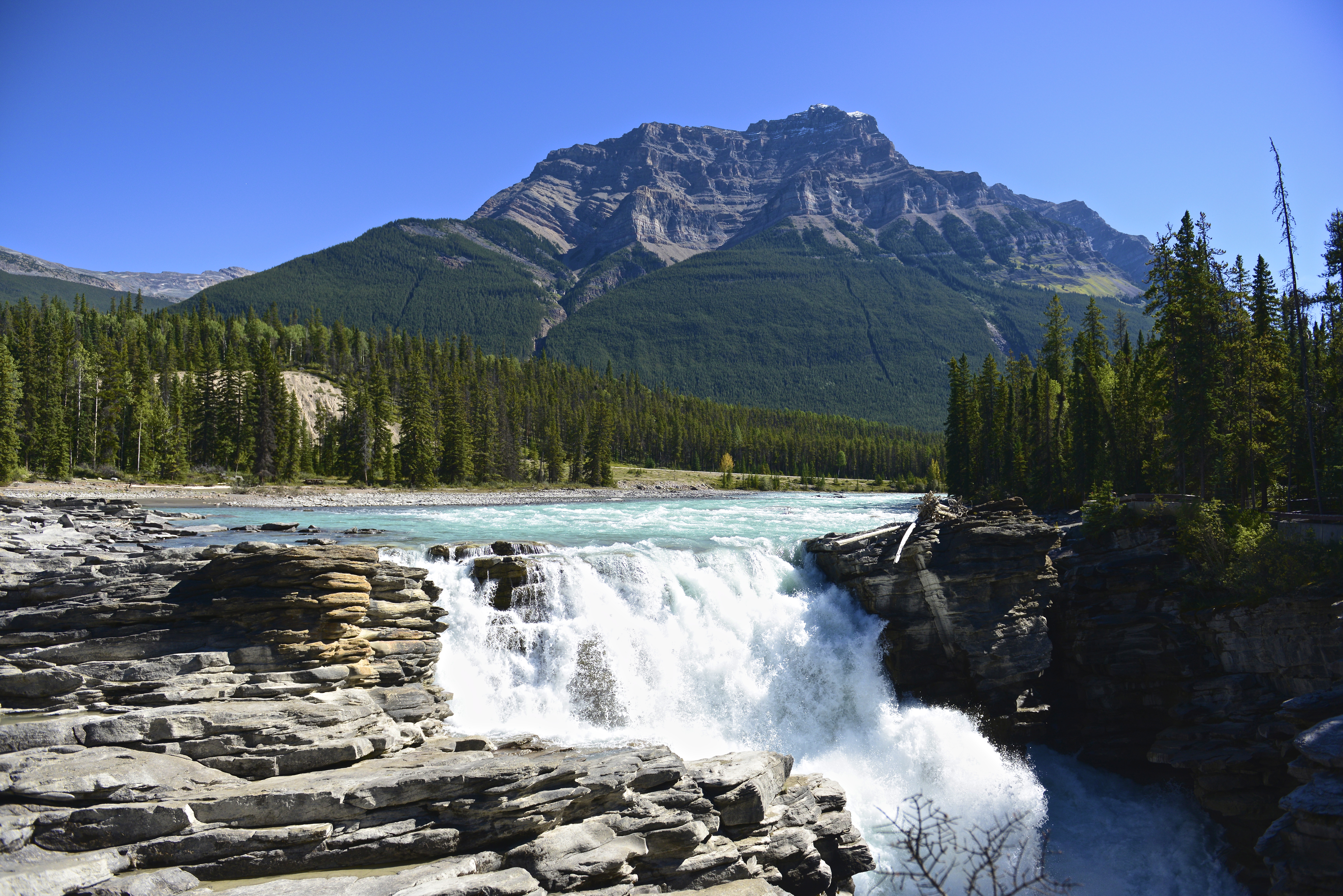 Athabasca Falls Waterfall Jasper National Park Canada River Forest Rock Mountain Nature 7360x4912