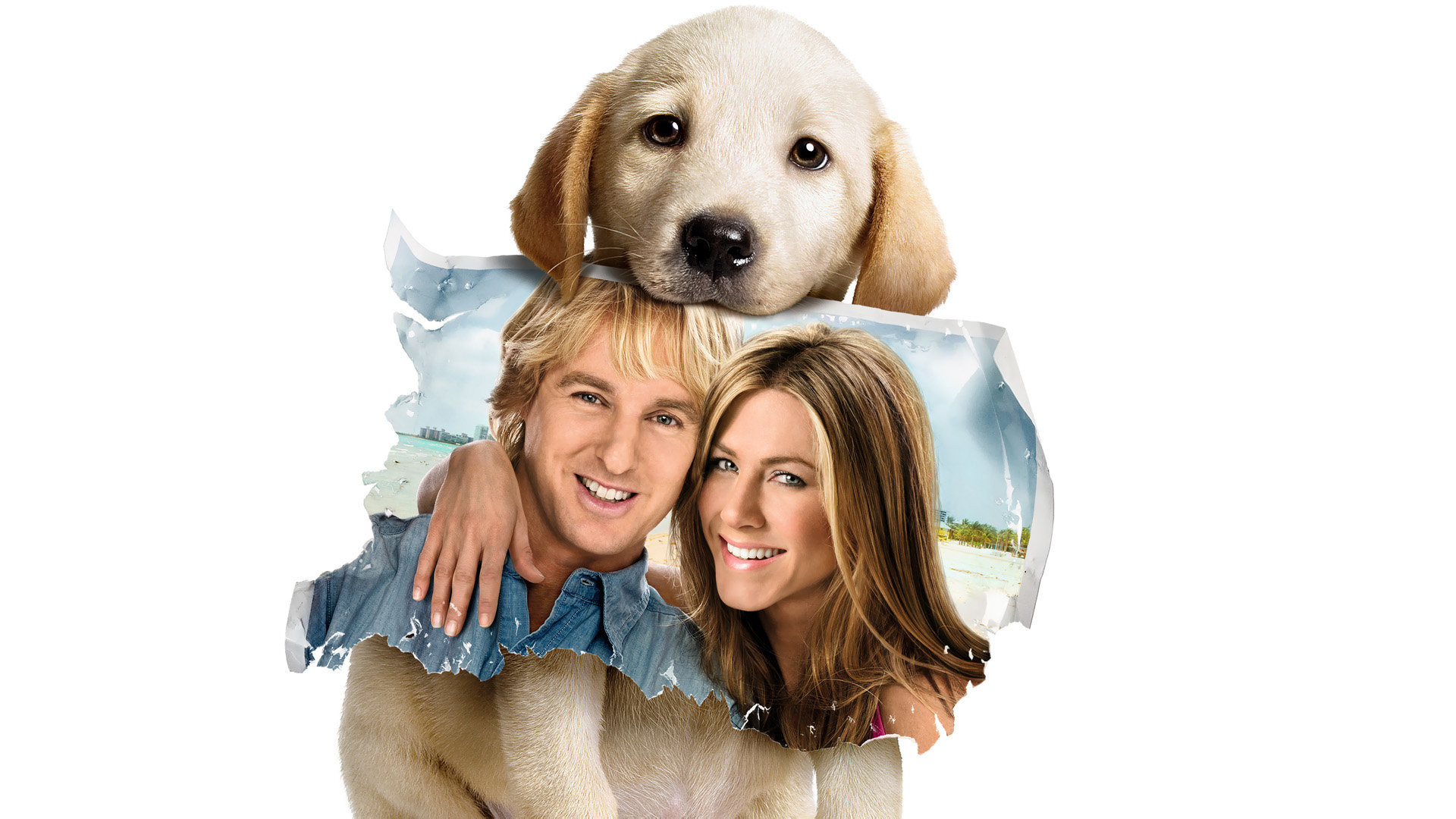 Jennifer Aniston Dog Puppy Labrador Retriever Owen Wilson 1920x1080