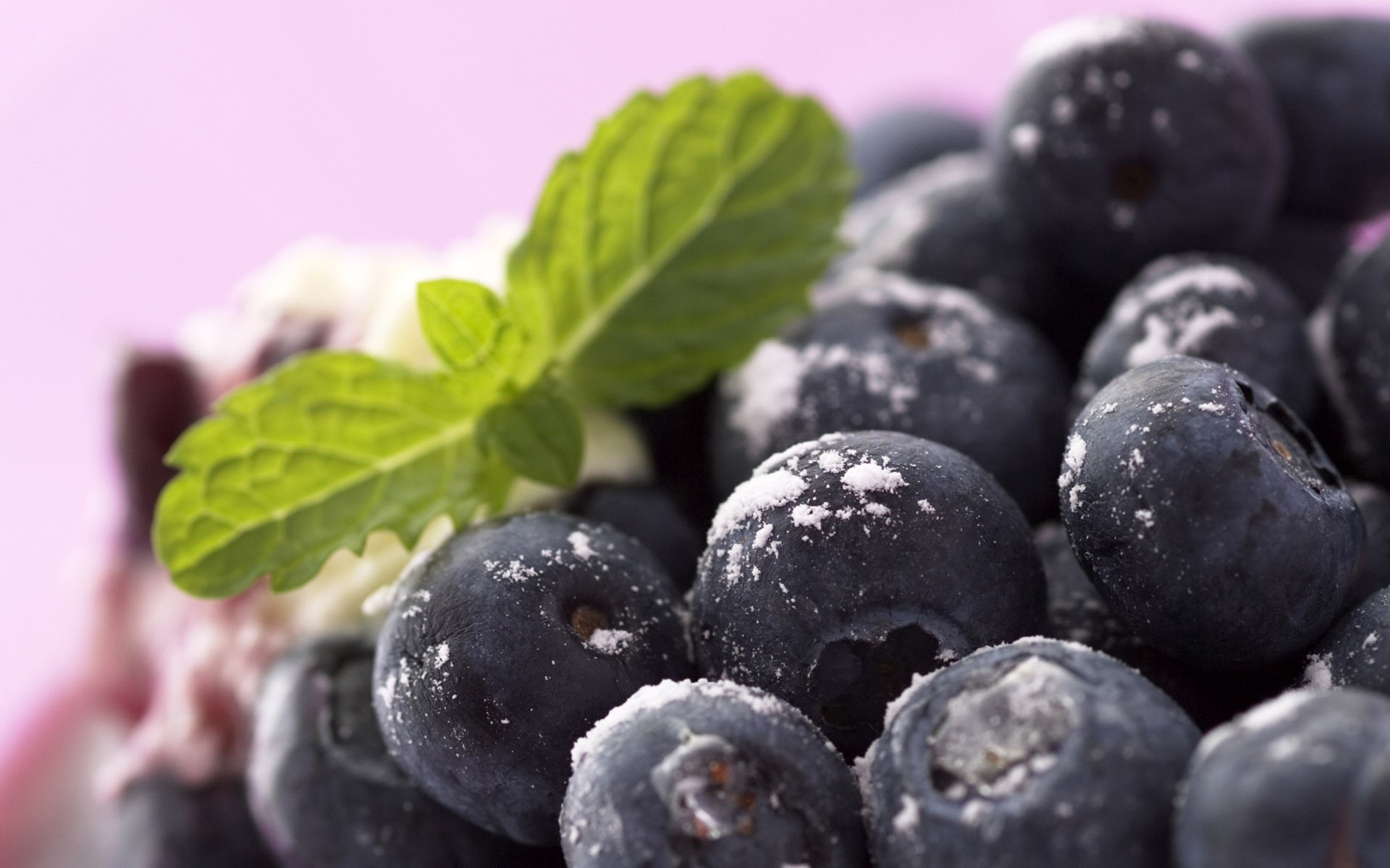 Blueberries Mint Leaves Food Fruit Berries 1920x1200