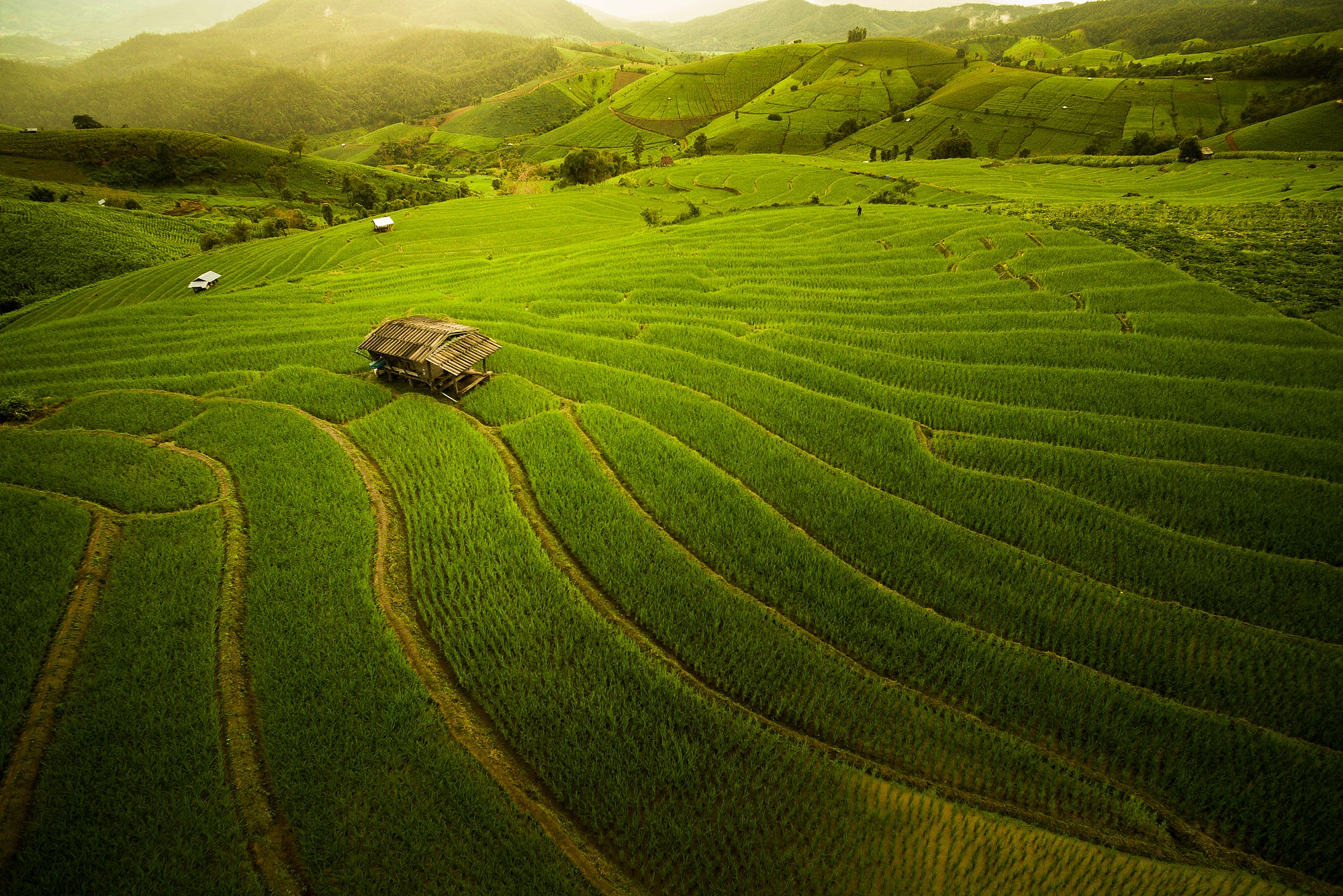Nature Landscape Thailand Alone House Field Farm Hills Rice Paddy 2000x1334