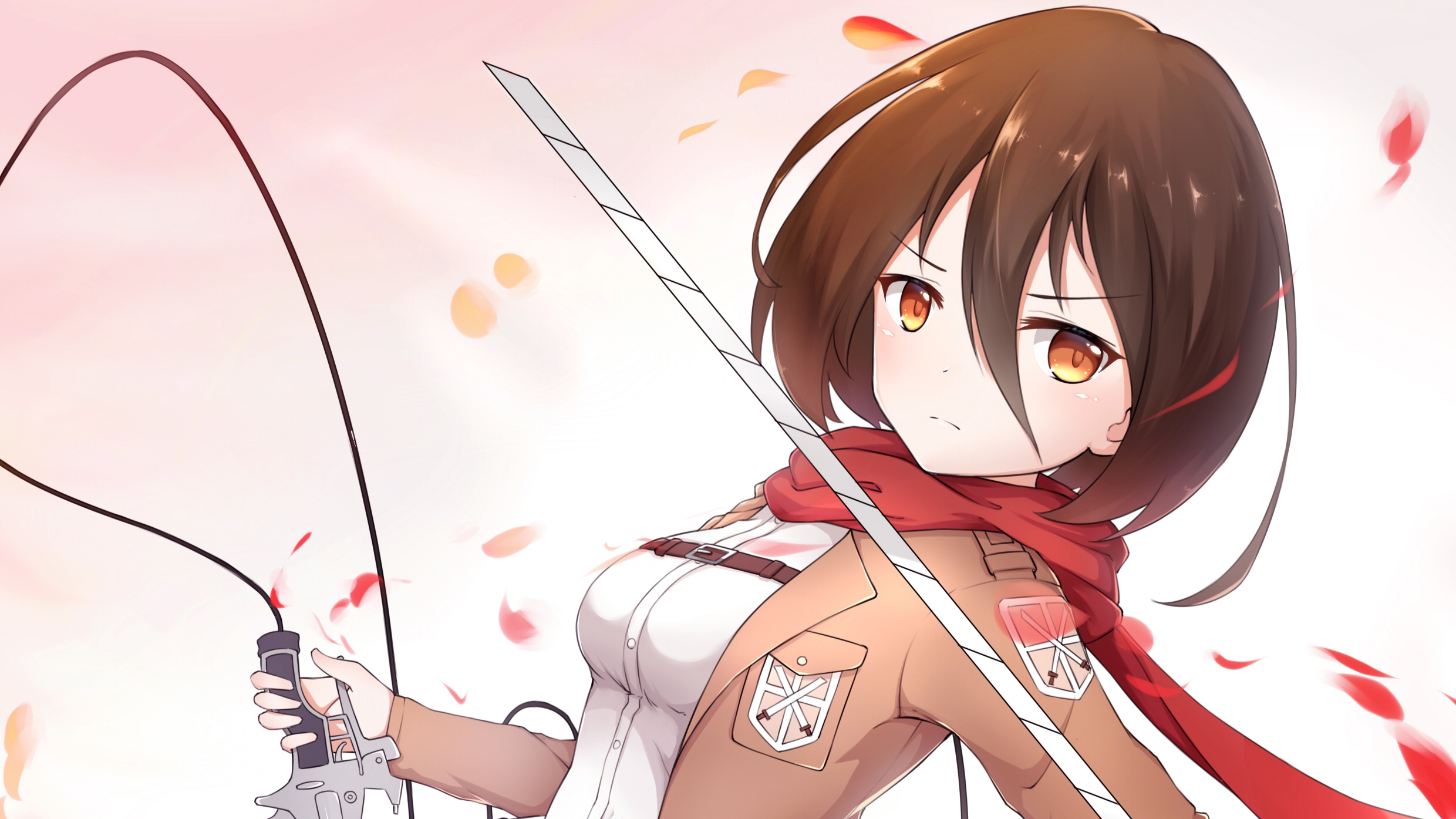 Anime Anime Girls Mikasa Ackerman Shingeki No Kyojin Attack On Titans 2480x1395