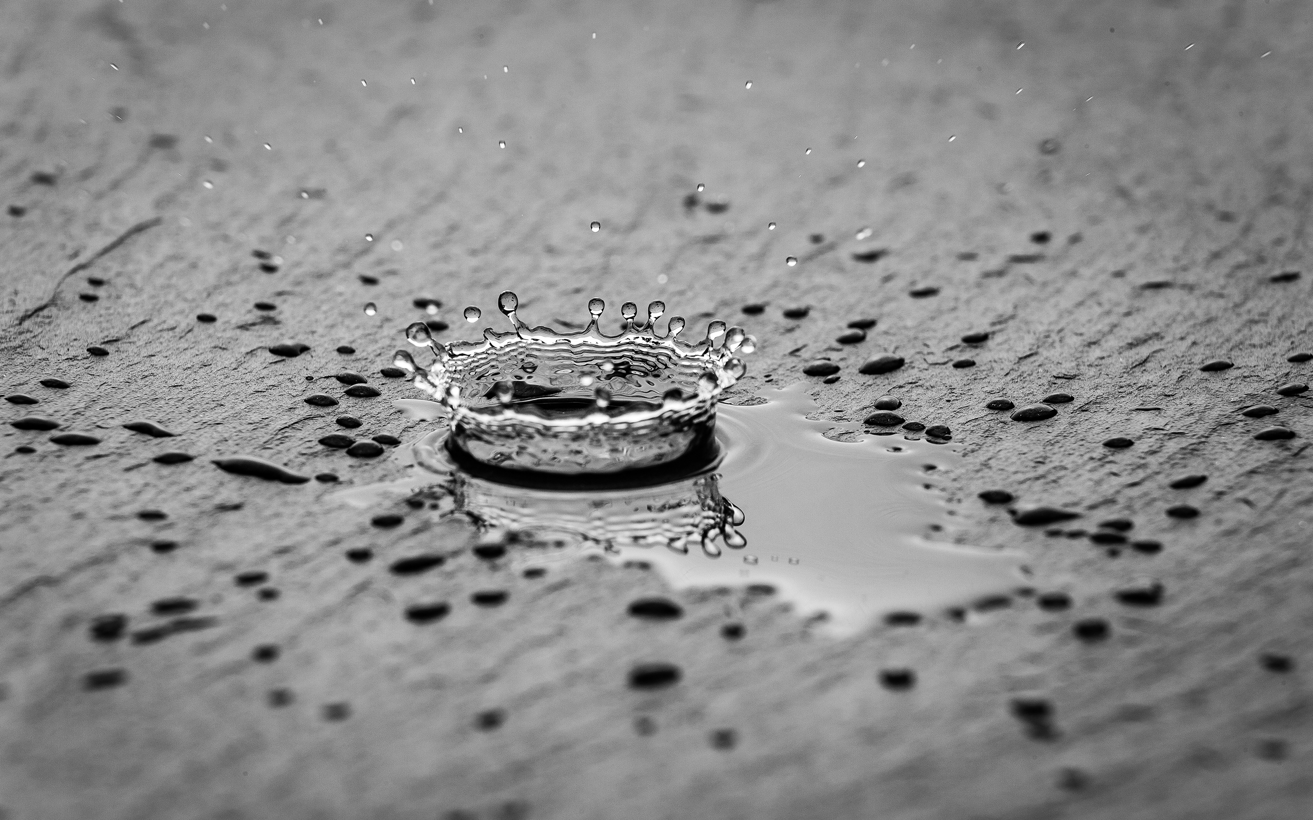 Water Splash Water Drops Gray Wet Reflection Splashes Water Monochrome 2560x1600