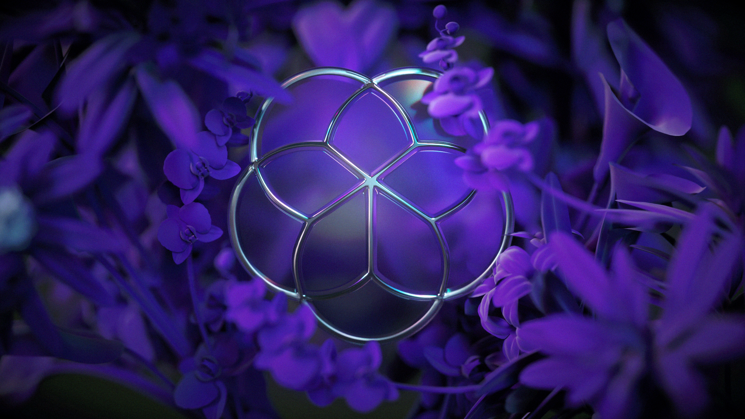 Abstract Flowers Leaves Orchids Purple Glowing 2560x1440