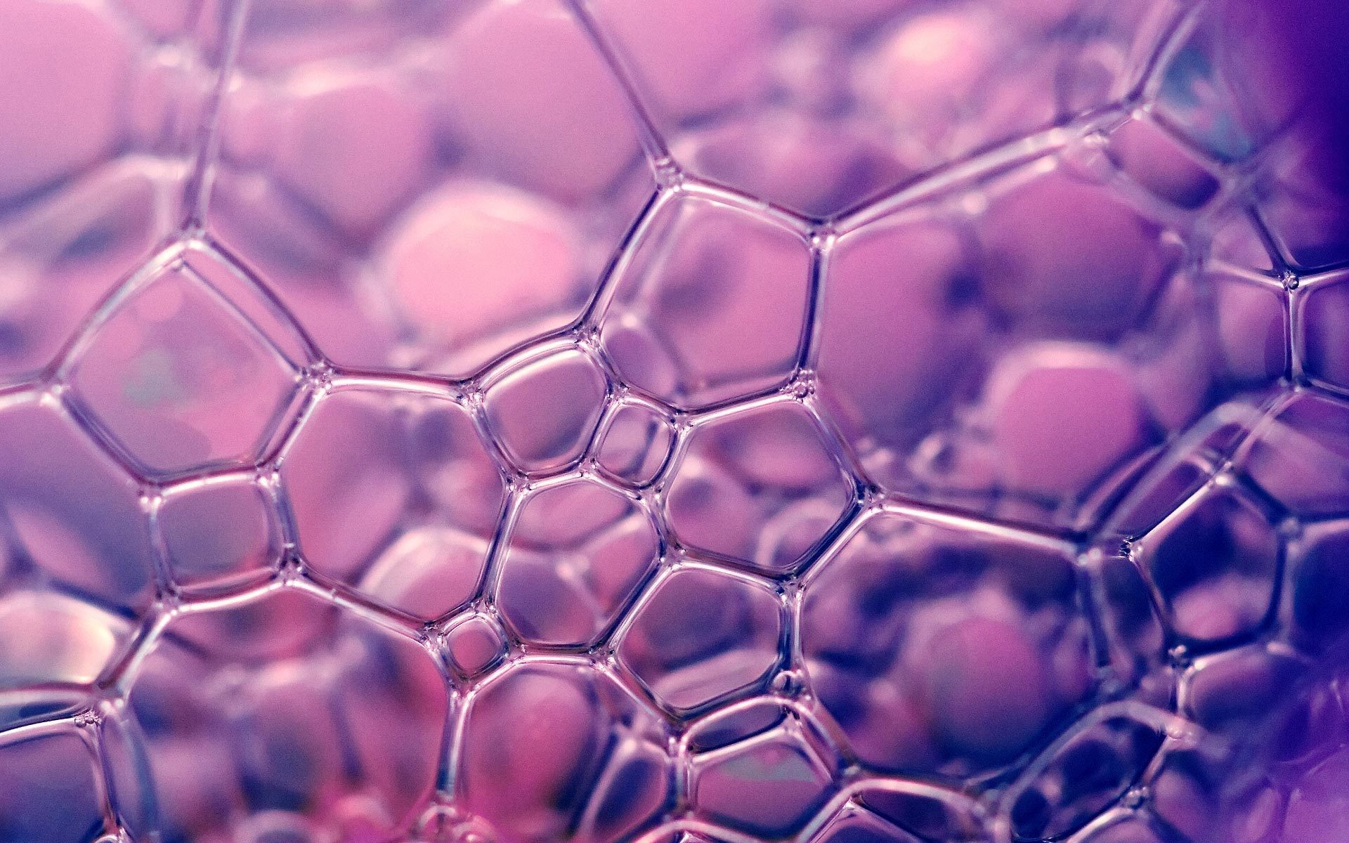 Macro Bubbles Soap Abstract Pattern Purple 1920x1200