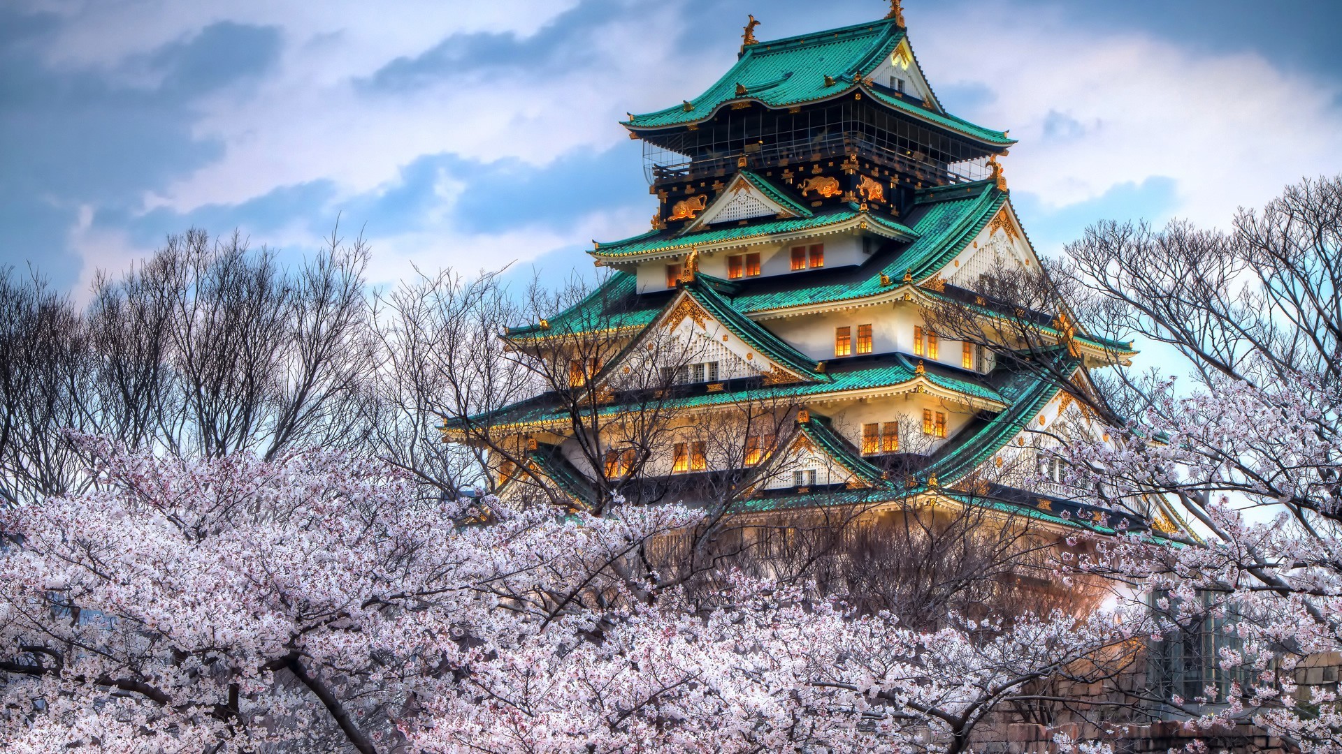 Cherry Blossom Japan Osaka Castle 1920x1080