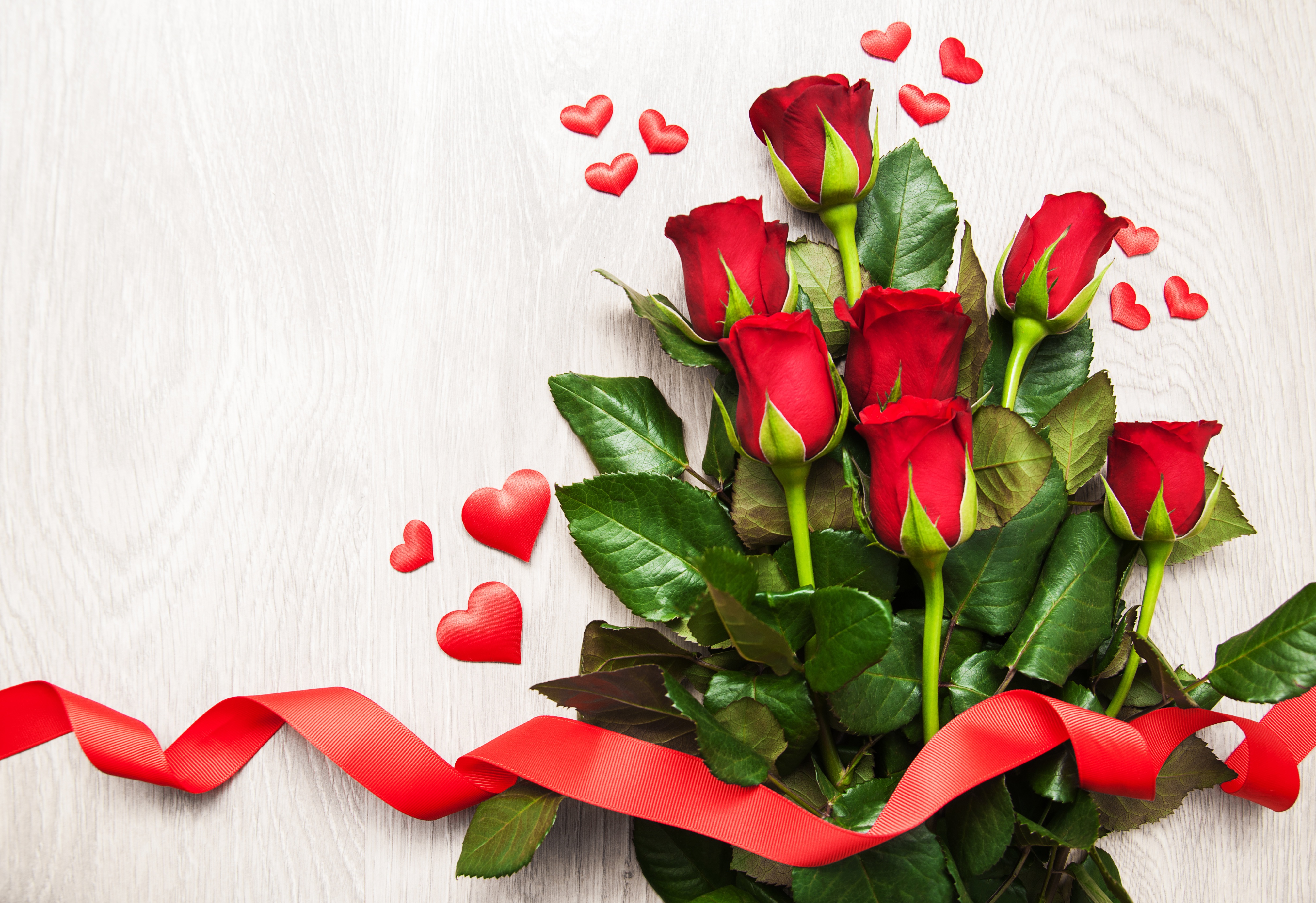 Rực rỡ và đầy cảm xúc, hoa hồng đỏ chính là biểu tượng của tình yêu và sự trân trọng. Hãy ngắm nhìn những cánh hoa hồng đỏ tuyệt đẹp này để cảm nhận một cảm giác lãng mạn và đầy ý nghĩa.