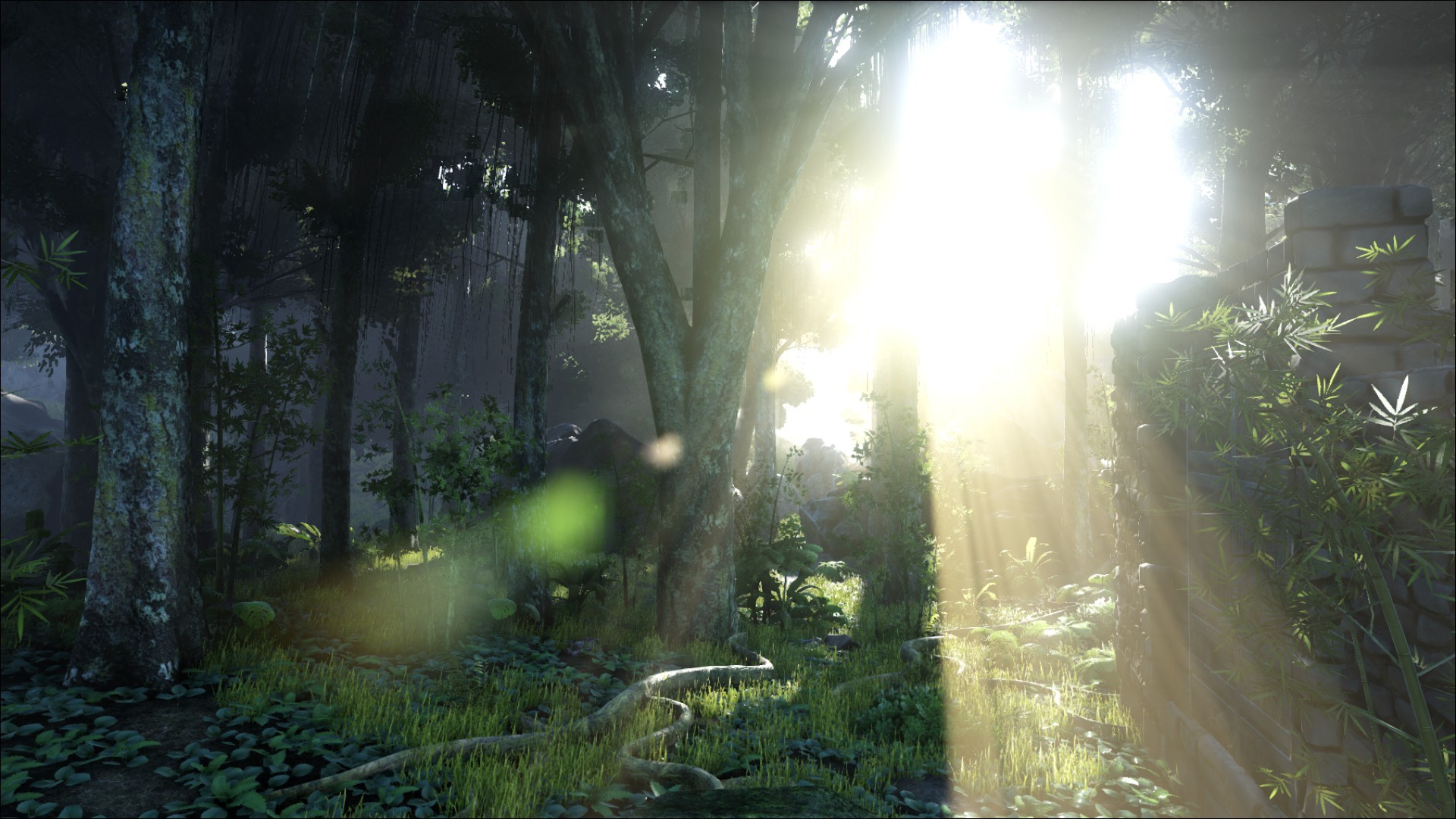Ark Survival Evolved Video Games The Island Sunlight Jungle 1920x1080