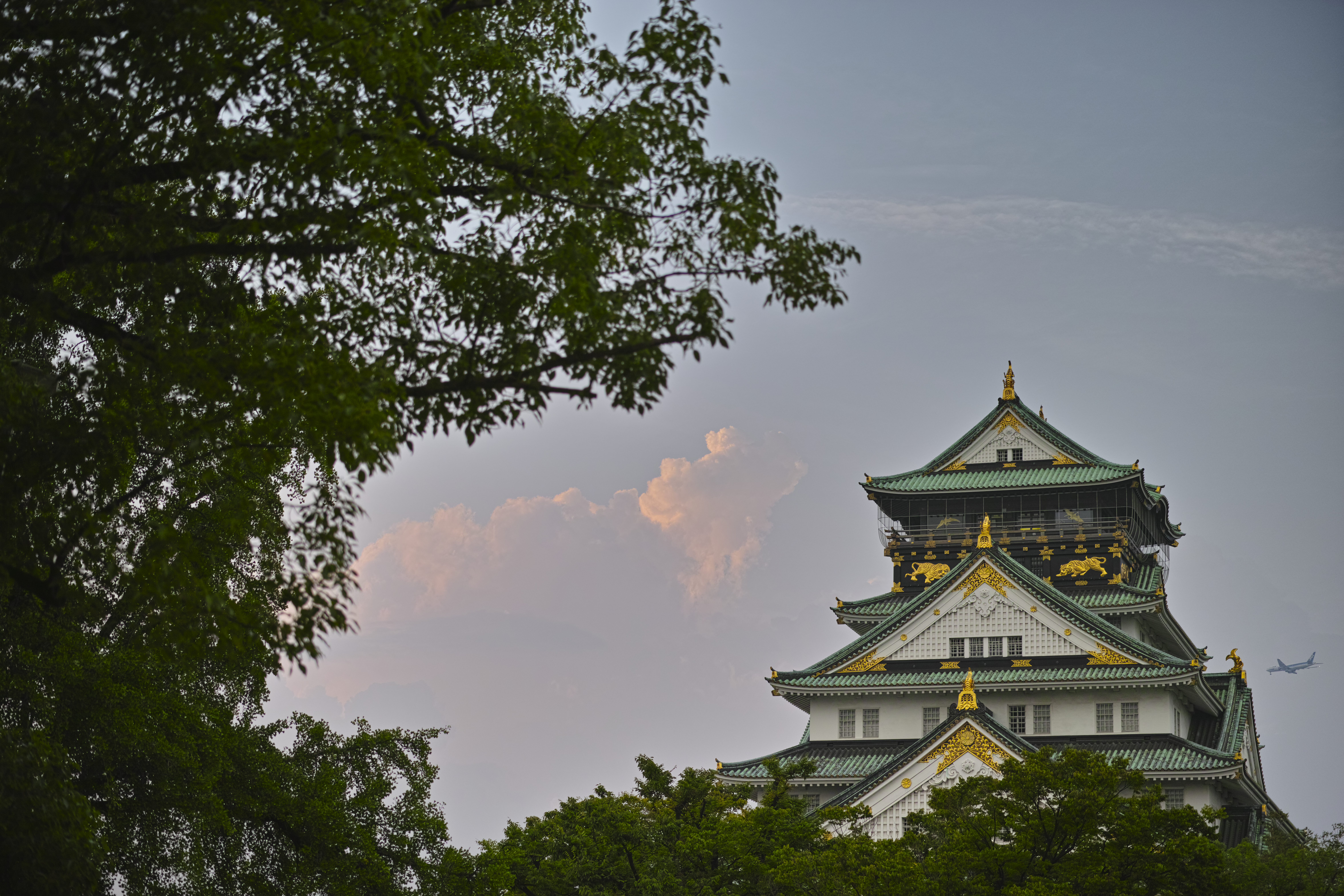 Osaka Castle Sky Japan Branch Cloud 9408x6272