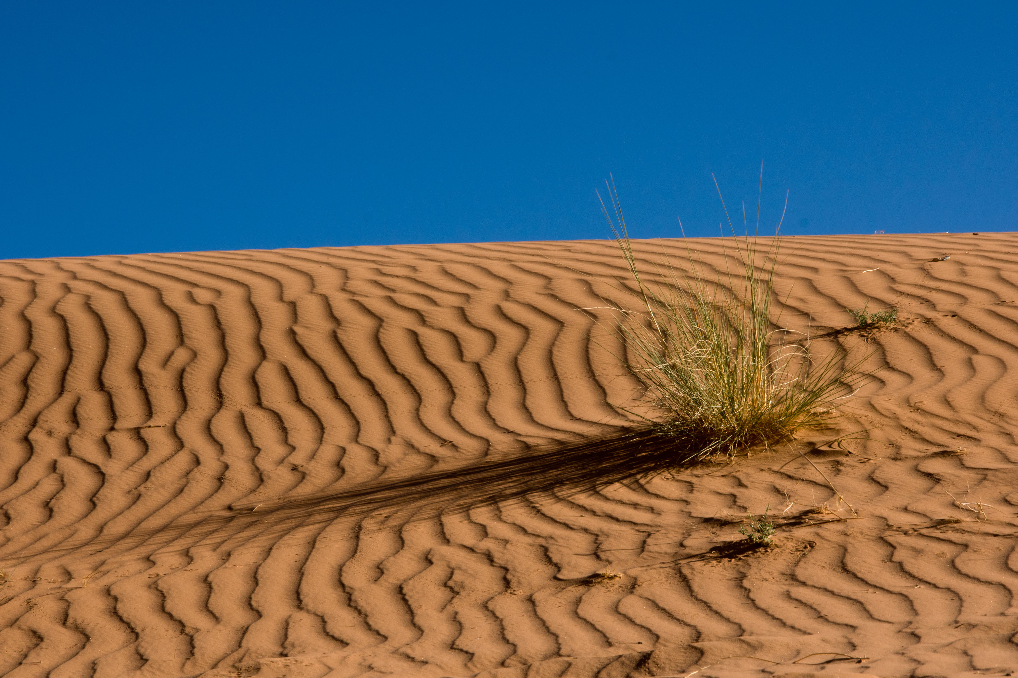 Неживая природа в пустыне. Дюны Барханы грядовые Пески. Рельеф пустыни и полупустыни. Пустыня Каракум в Туркменистане. Пустыни Йемена Барханы.