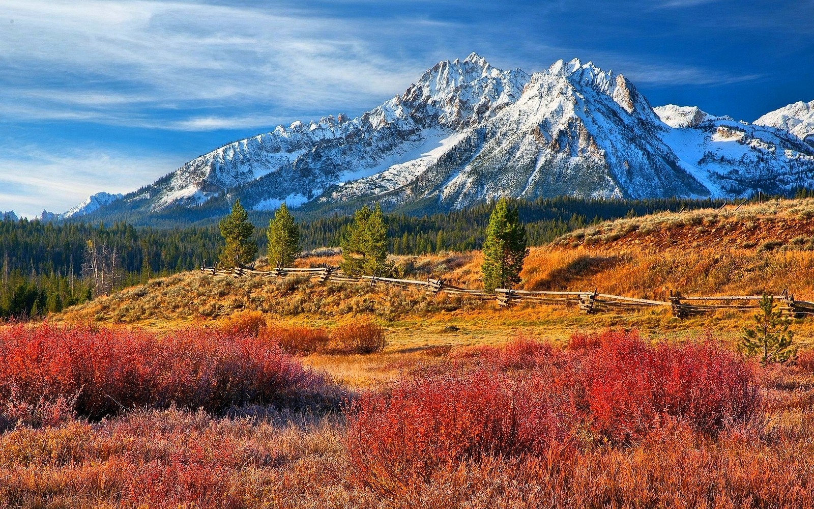 Nature Landscape Snowy Peak Forest Grass Mountains Fence Colorful Fall Idaho 1600x1000