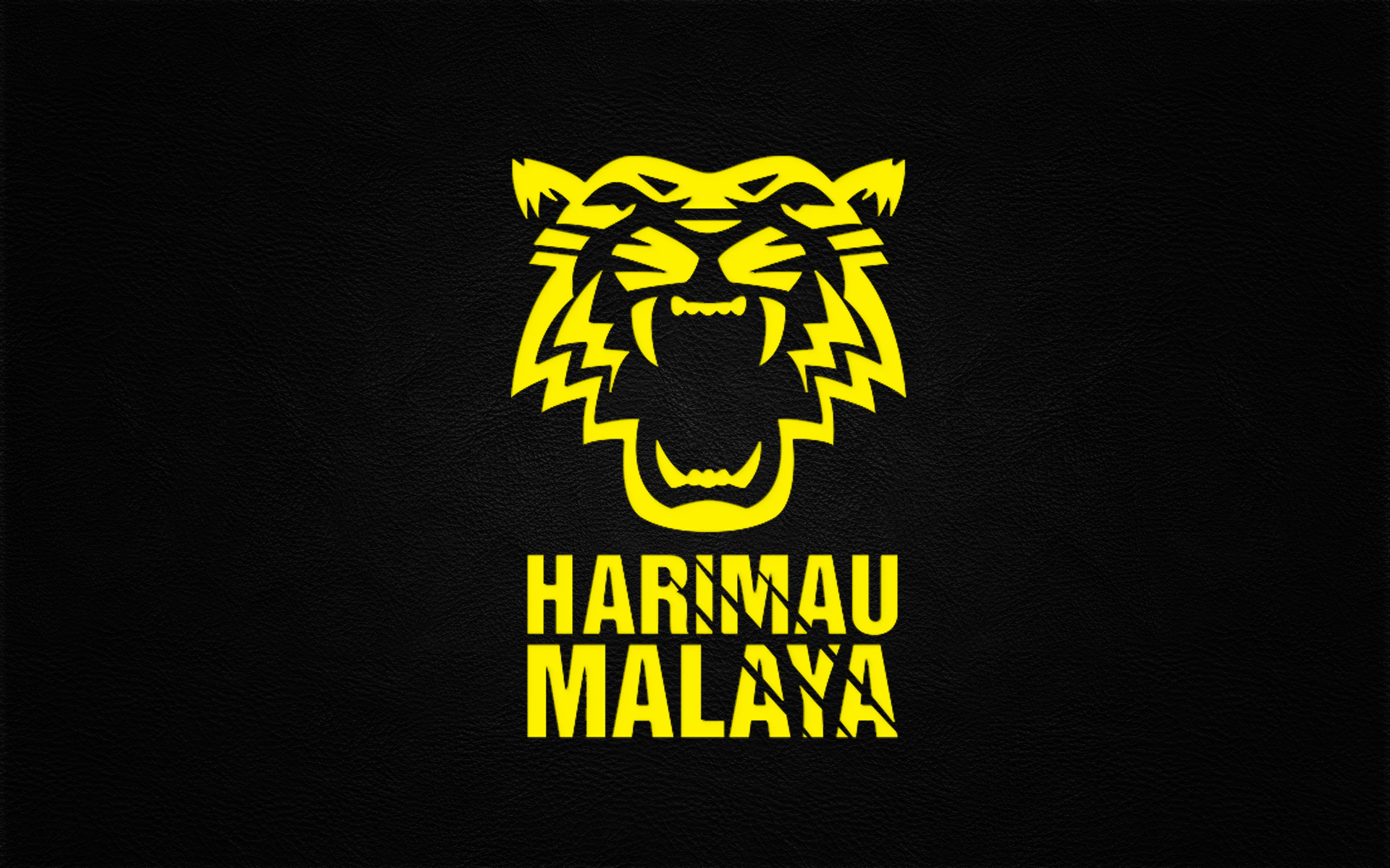 Sports Malaysia National Football Team 2560x1600