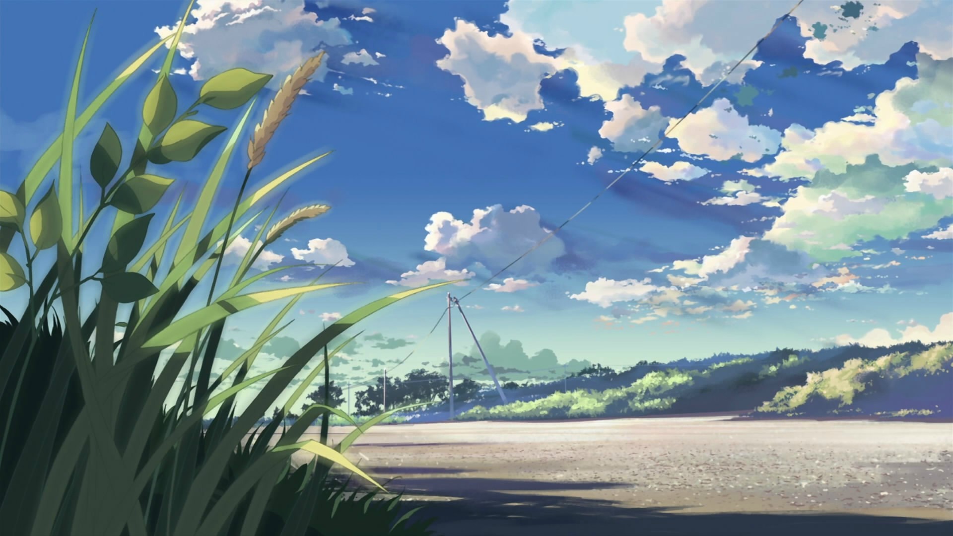 5 Centimeters Per Second Makoto Shinkai Reeds Anime 1920x1080