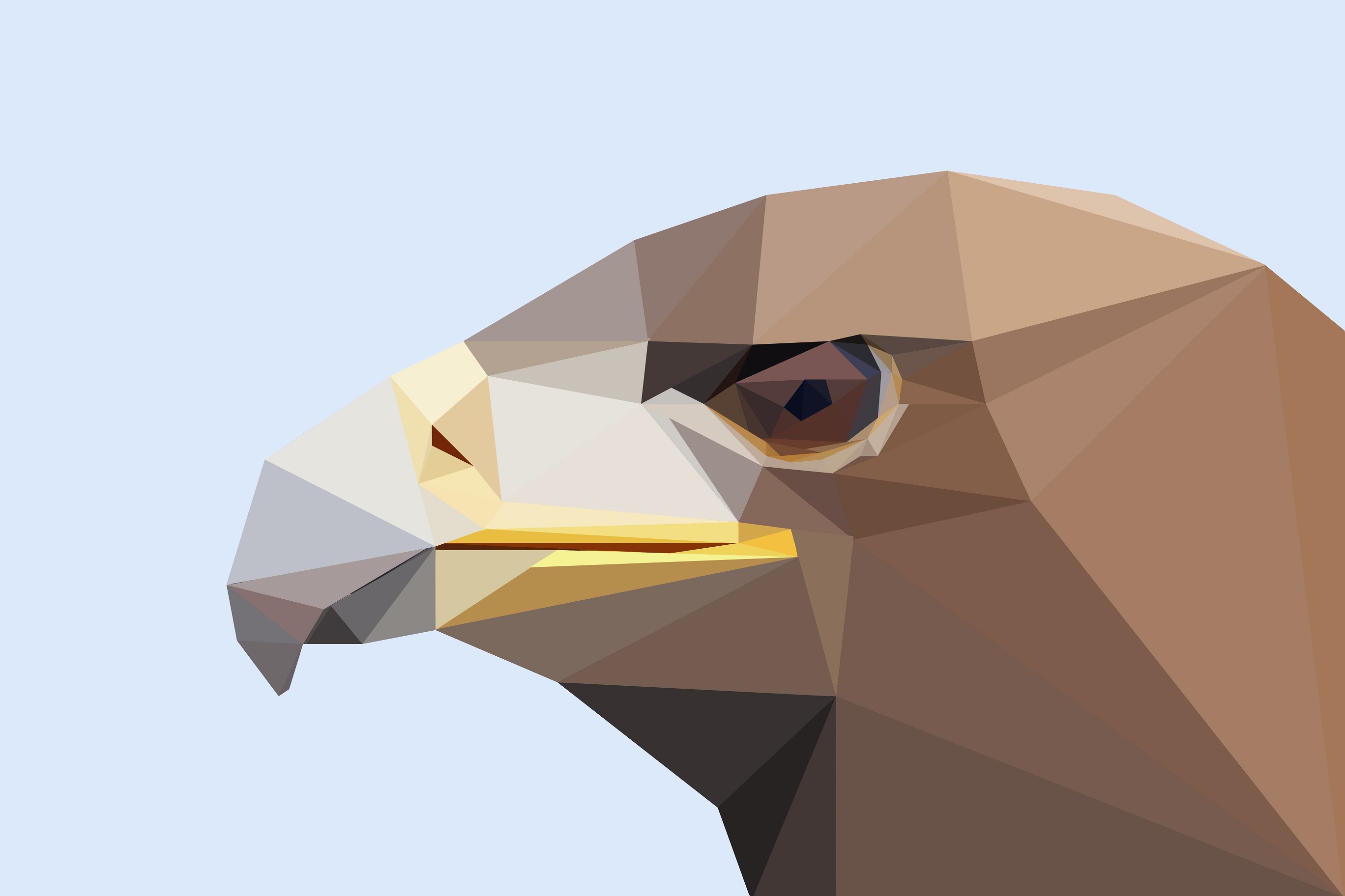 Low Poly Polygon Facets Artistic Bird Eagle Artwork Minimalist 2736x1824