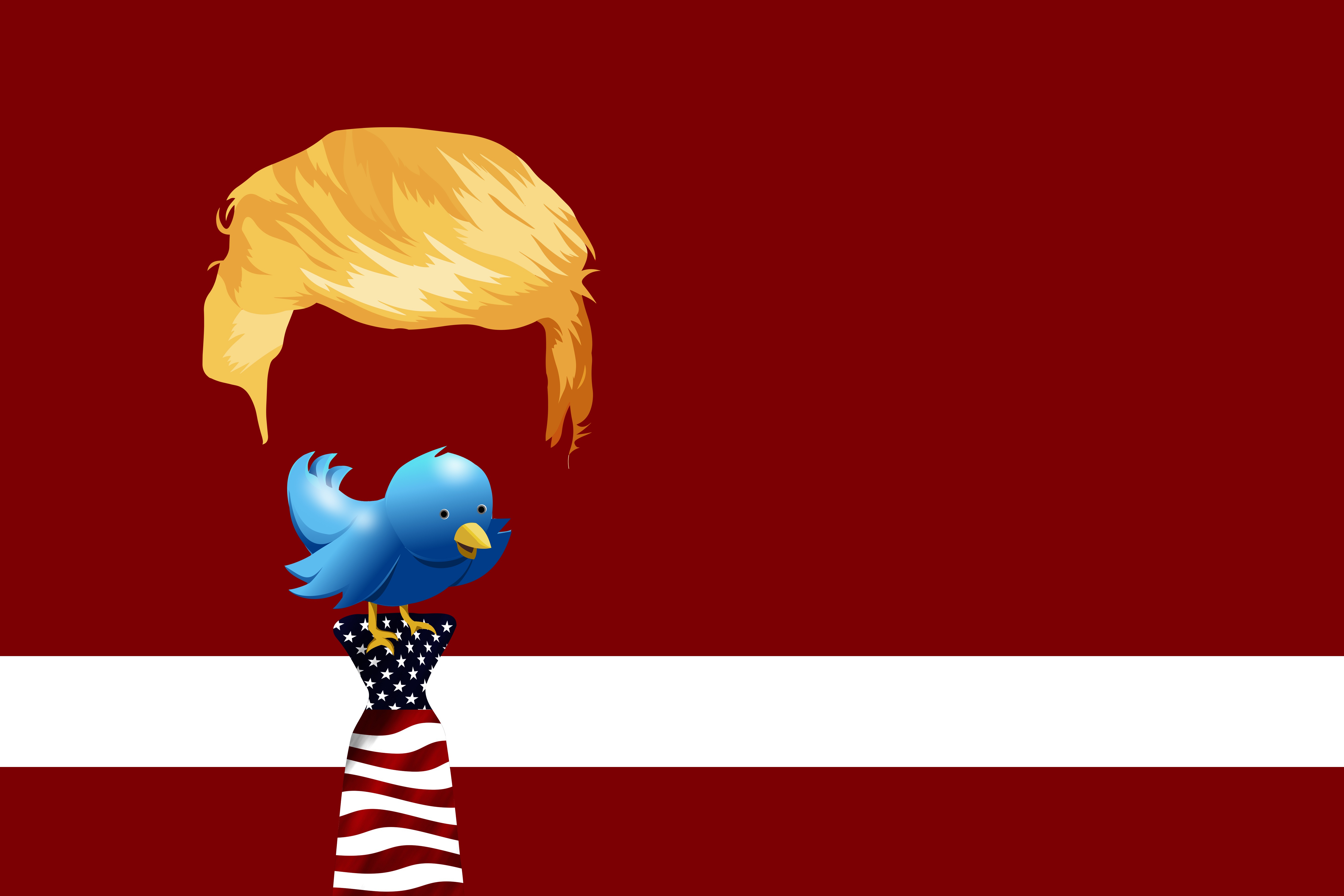 Donald Trump Twitter Artistic American Humor Tie 6000x4000
