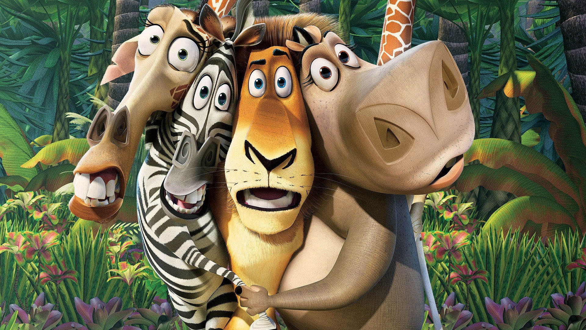 Movies Madagascar Movie Zebras Animated Movies 2005 Year 1920x1080