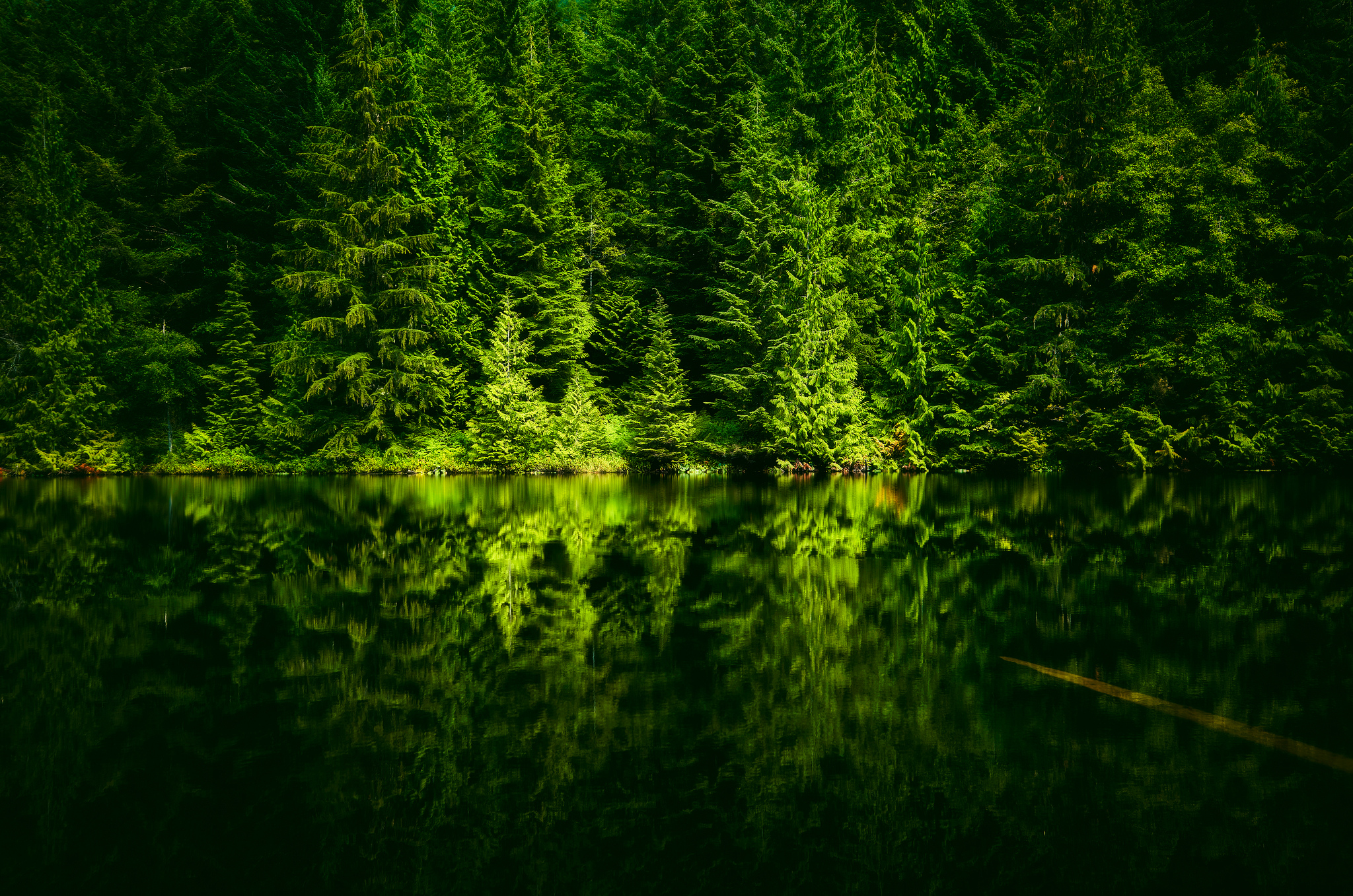 Nature Trees Water Lake Shoreline Forest 2048x1357