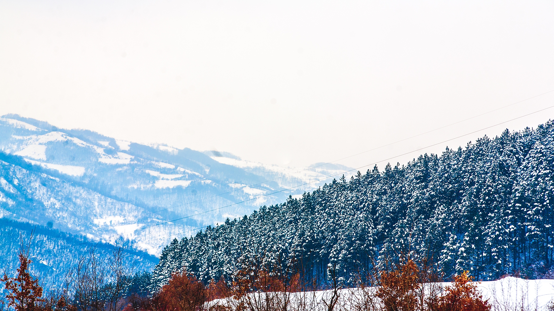 Landscape Scenic Season Snow Tree Winter White Bosnia 1920x1080