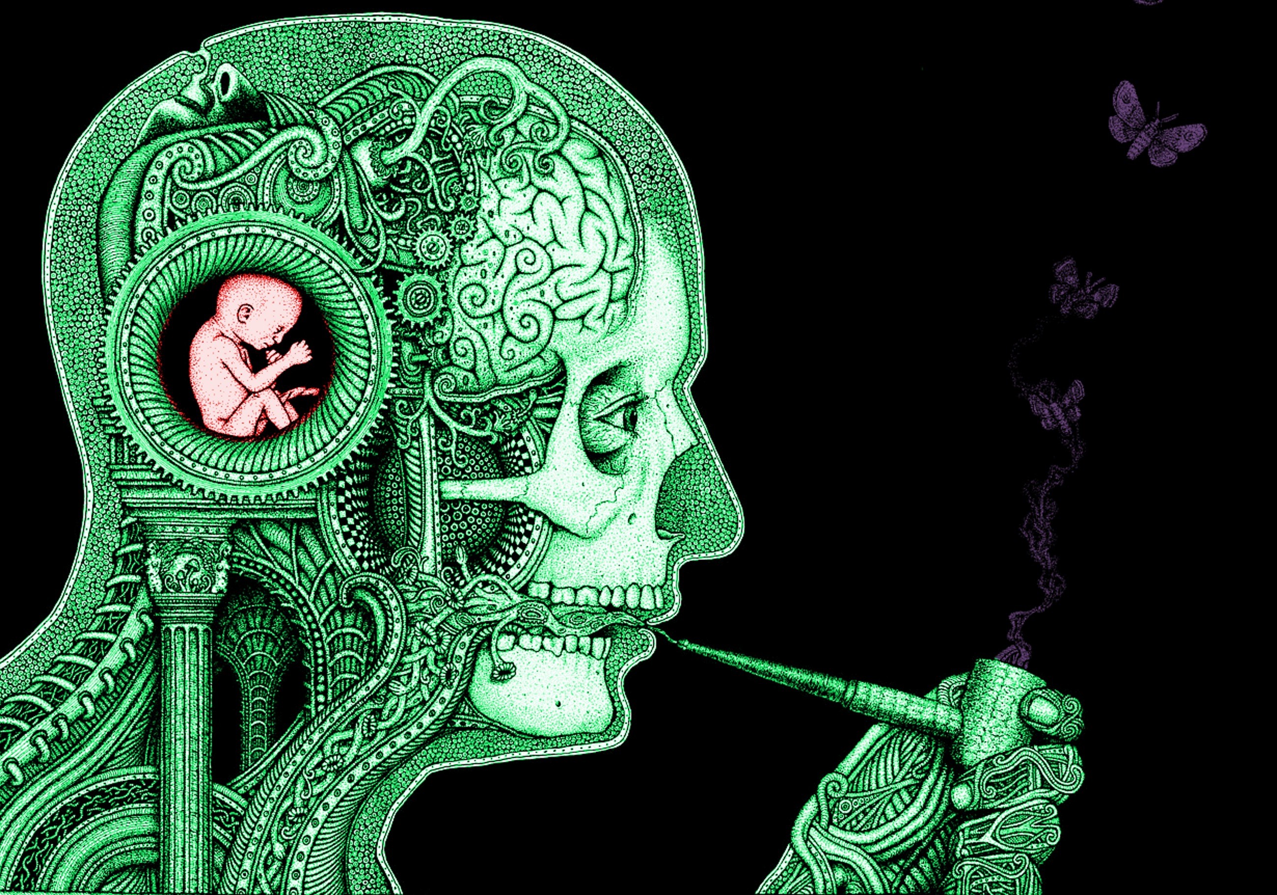 Brain Clockwork Baby Science Smoking Butterfly Skull Gears Artwork 2600x1822