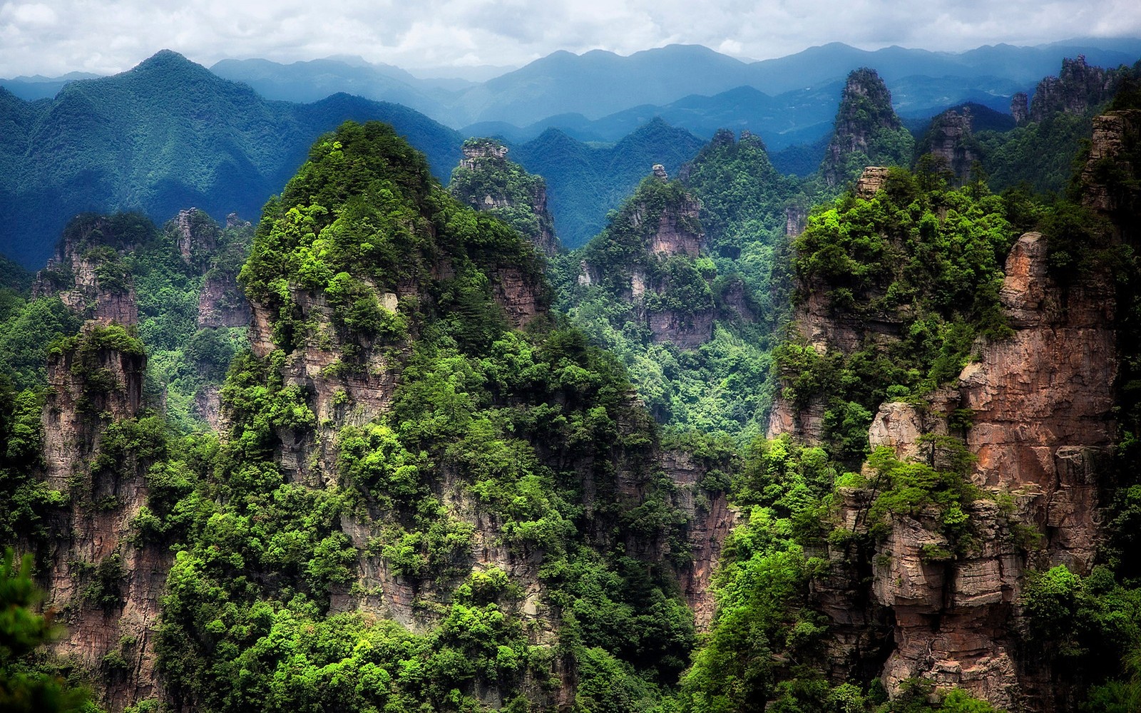 Earth Mountain Tree Green Landscape China Cliff 1600x1000