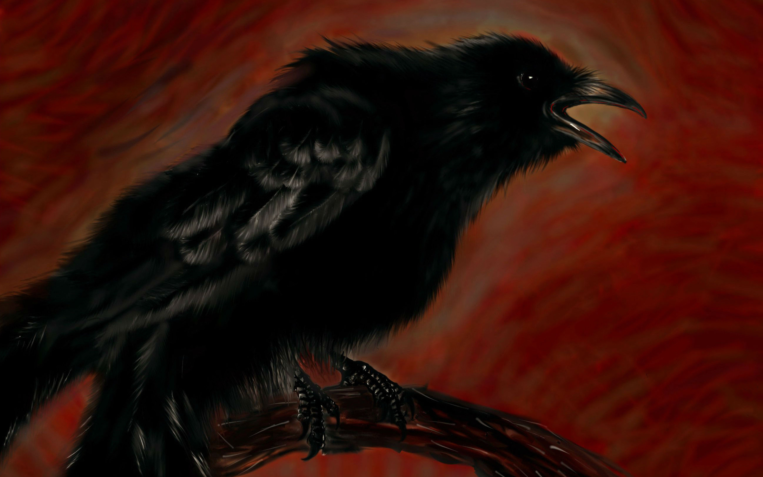 Artistic Bird Raven Black 2560x1600