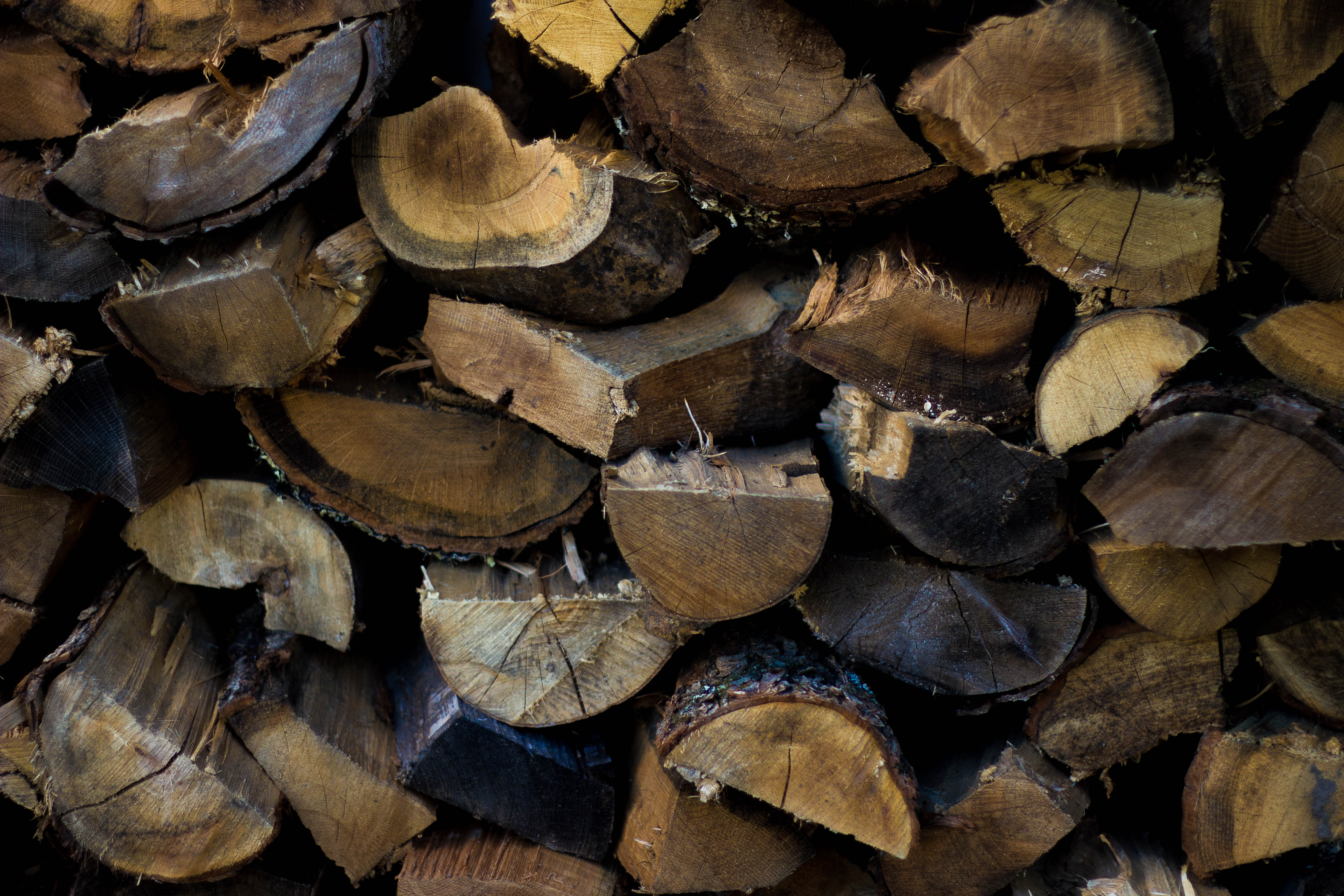 Wood Minimalism Outdoors Brown Firewood 5184x3456