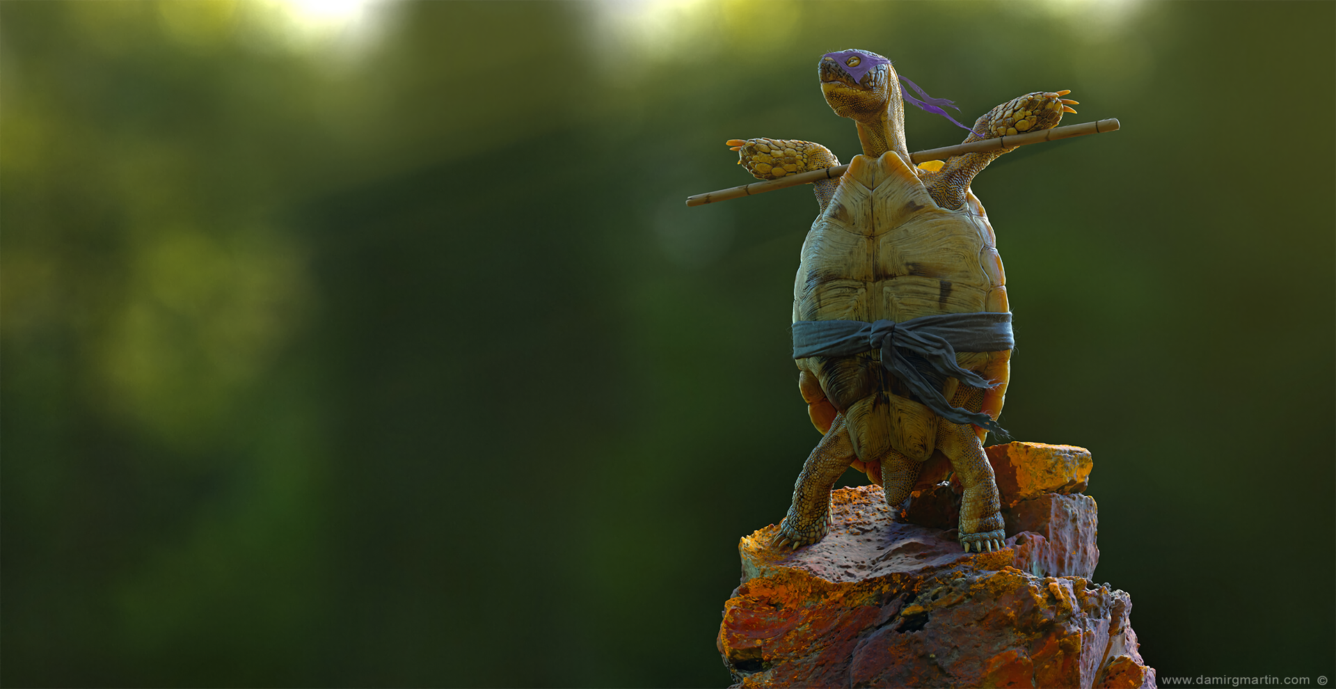Tortoises Animals 3D CGi Teenage Mutant Ninja Turtles Donatello Ninja Turtle Rocks Standing Sticks H 1920x990