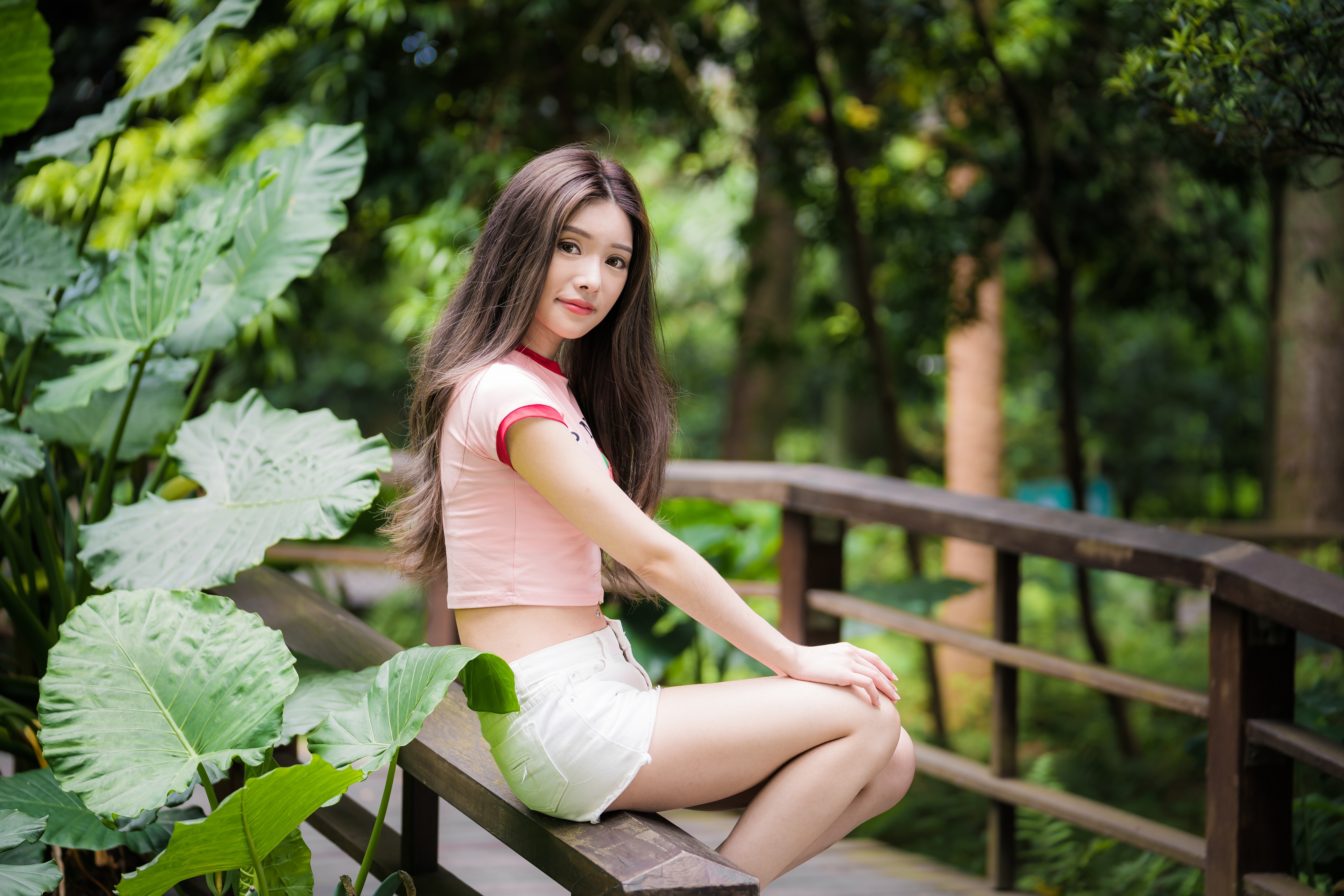 Asian Model Women Long Hair Brunette Depth Of Field Sitting Railing Trees Leaves Shorts Pink Tops Lo 4562x3043