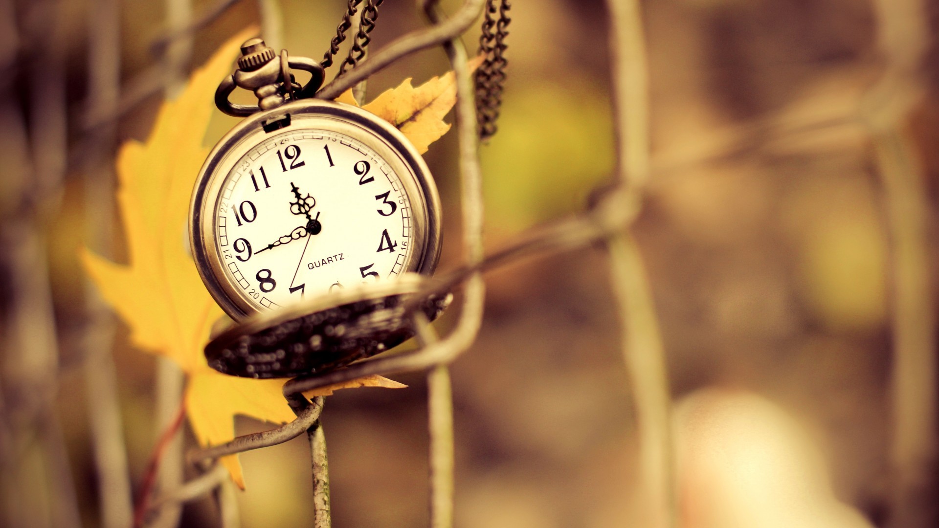 Clocks Fence Depth Of Field Leaves Time Pocket Watch 1920x1080