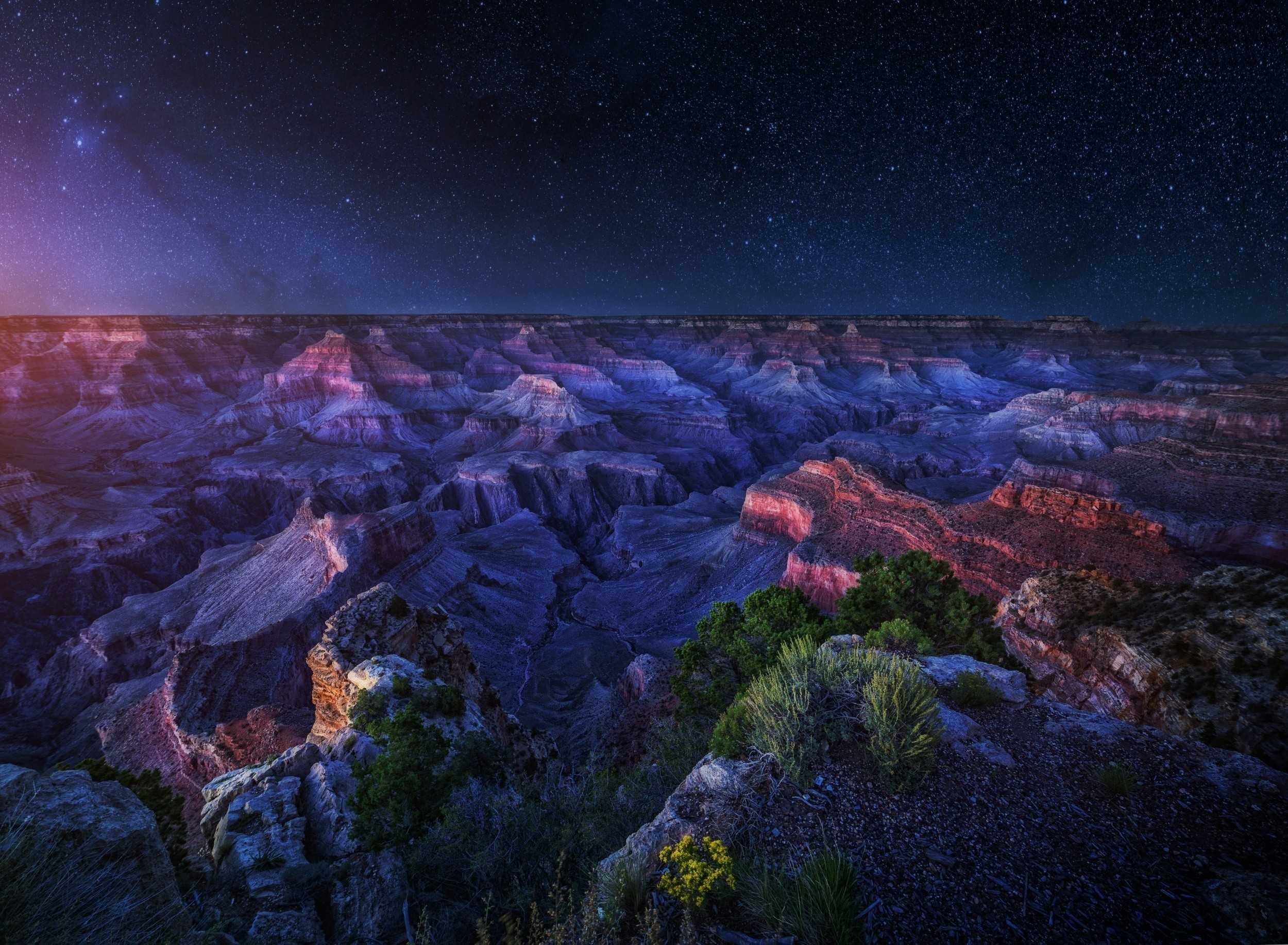 Arizona Grand Canyon Starry Night Long Exposure Shrubs Erosion Nature Panoramas Landscape 2500x1836