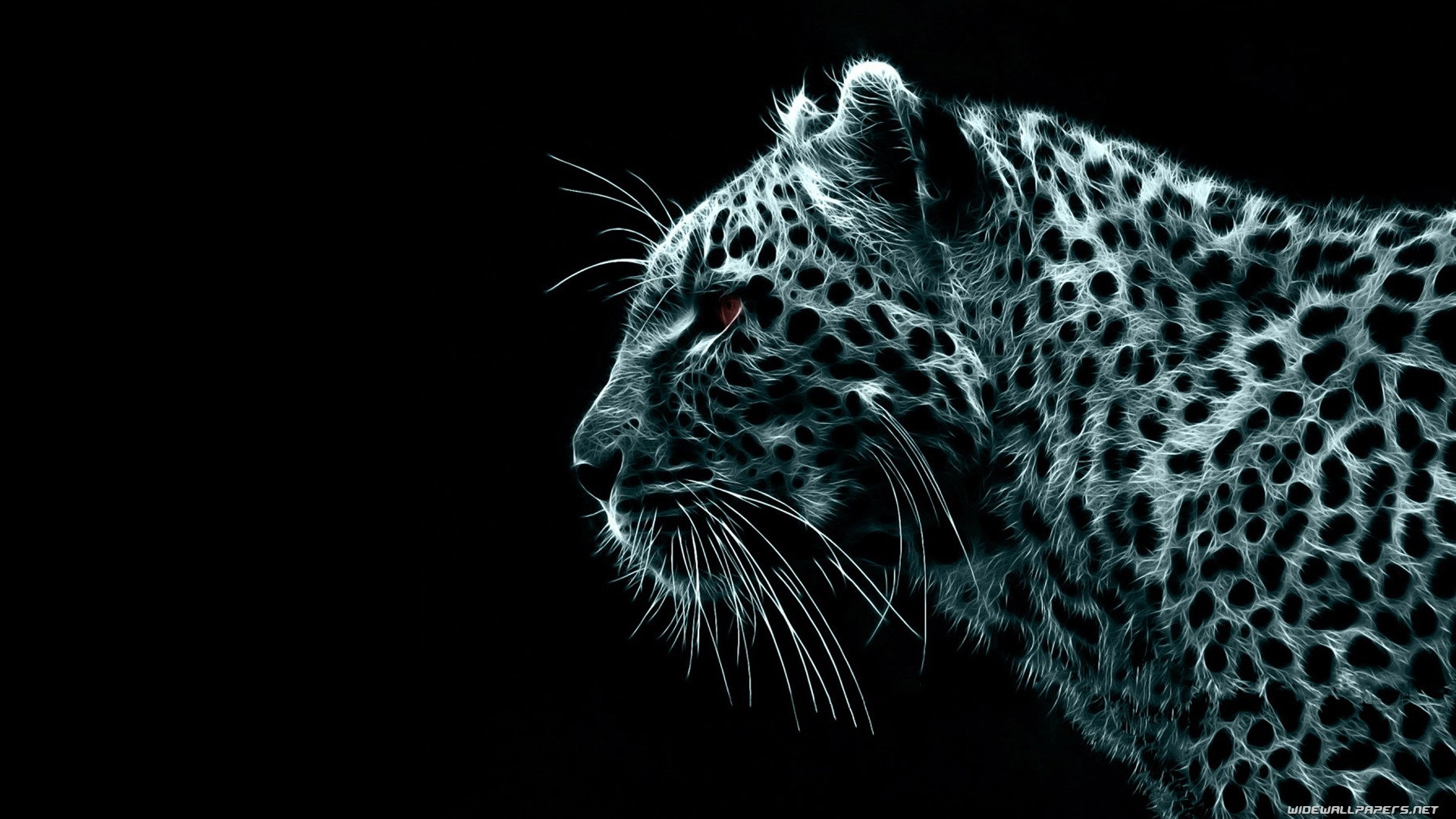 Leopard Black Background Fractalius Animals Digital Art Simple Background Leopard Animal 1920x1080